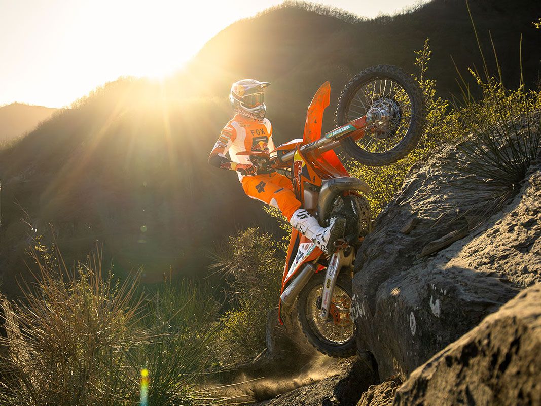 1067x800 New 2025 KTM 300 XC W Champion Edition Motorcycles In Bozeman, MT. Stock Number: KTM308803