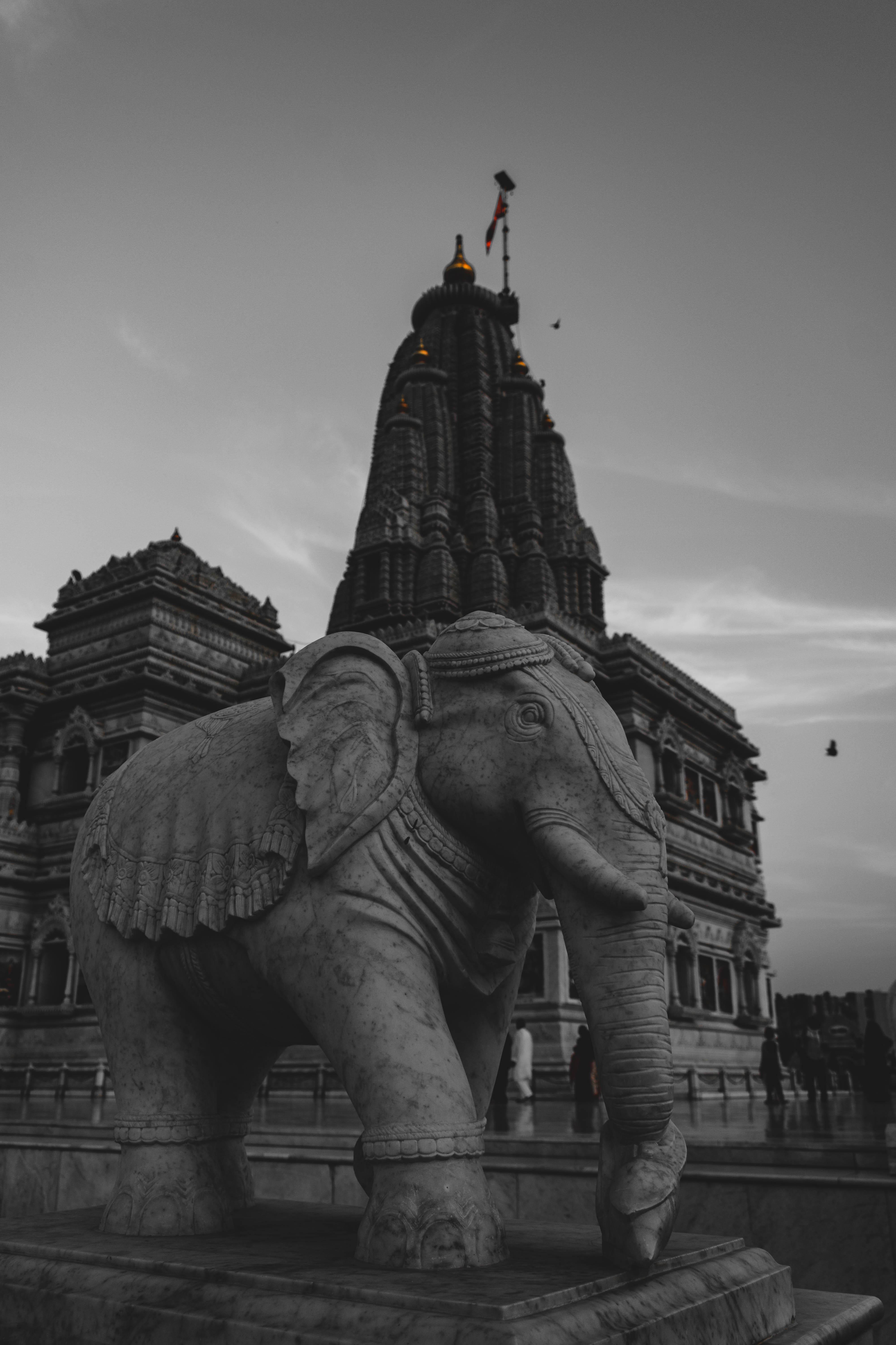 4000x6000 Captured at Prem Mandir, Vrindavan on Nikon D please rate!