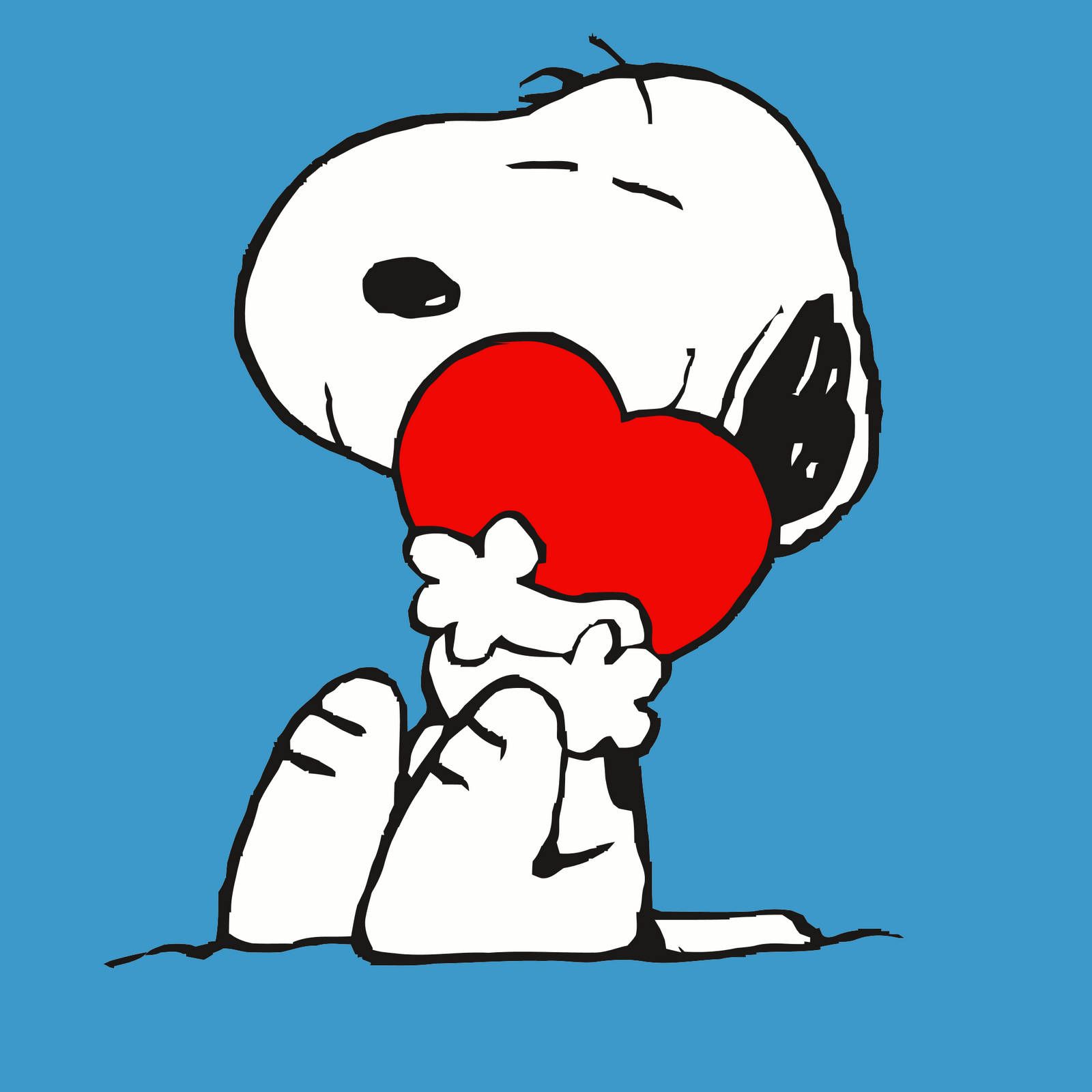 1600x1600 Download Snoopy Wallpaper