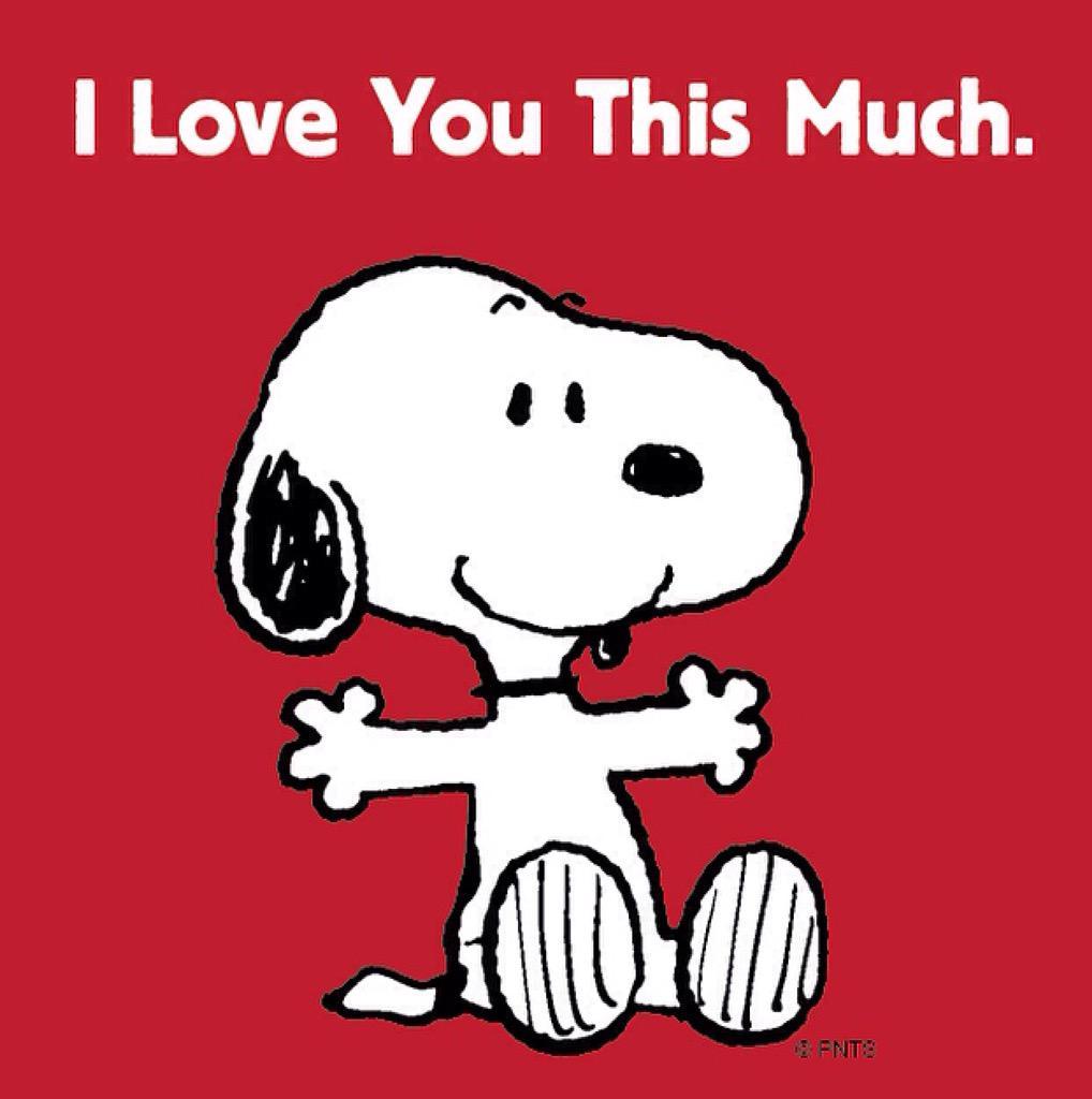 1018x1024 Snoopy Valentine Background Download Snoopy Valentine Image. Peanuts Valentine's Happy Valentines Day Quote