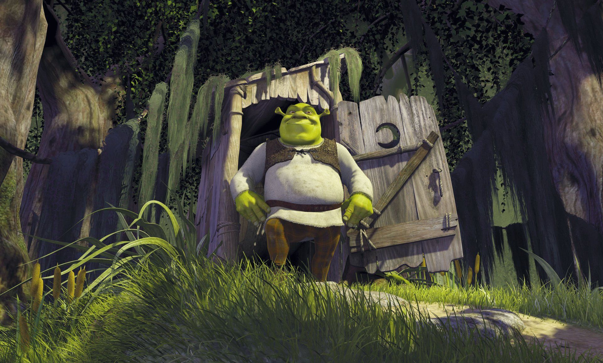 1920x1157 HD Wallpaper of Shrek: A Charming Movie Adventure