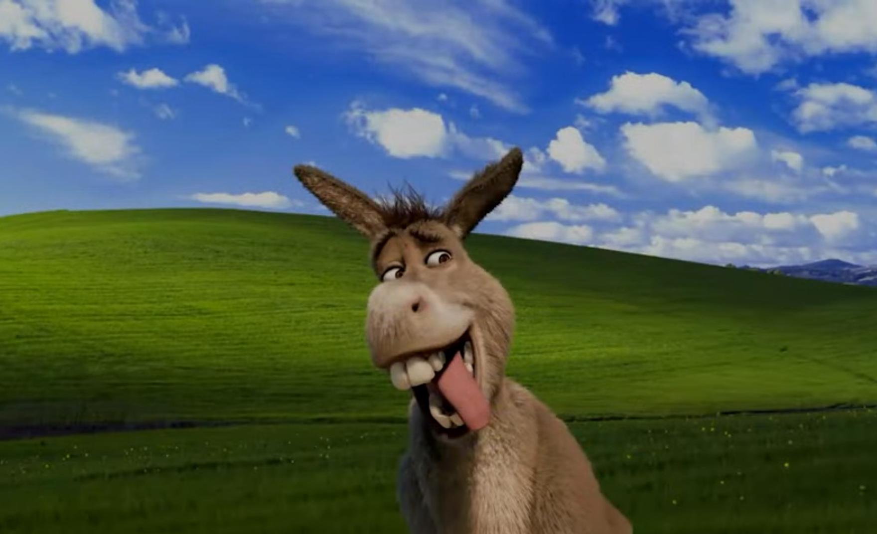 1760x1072 Windows XP:Shrek and Donkey editions