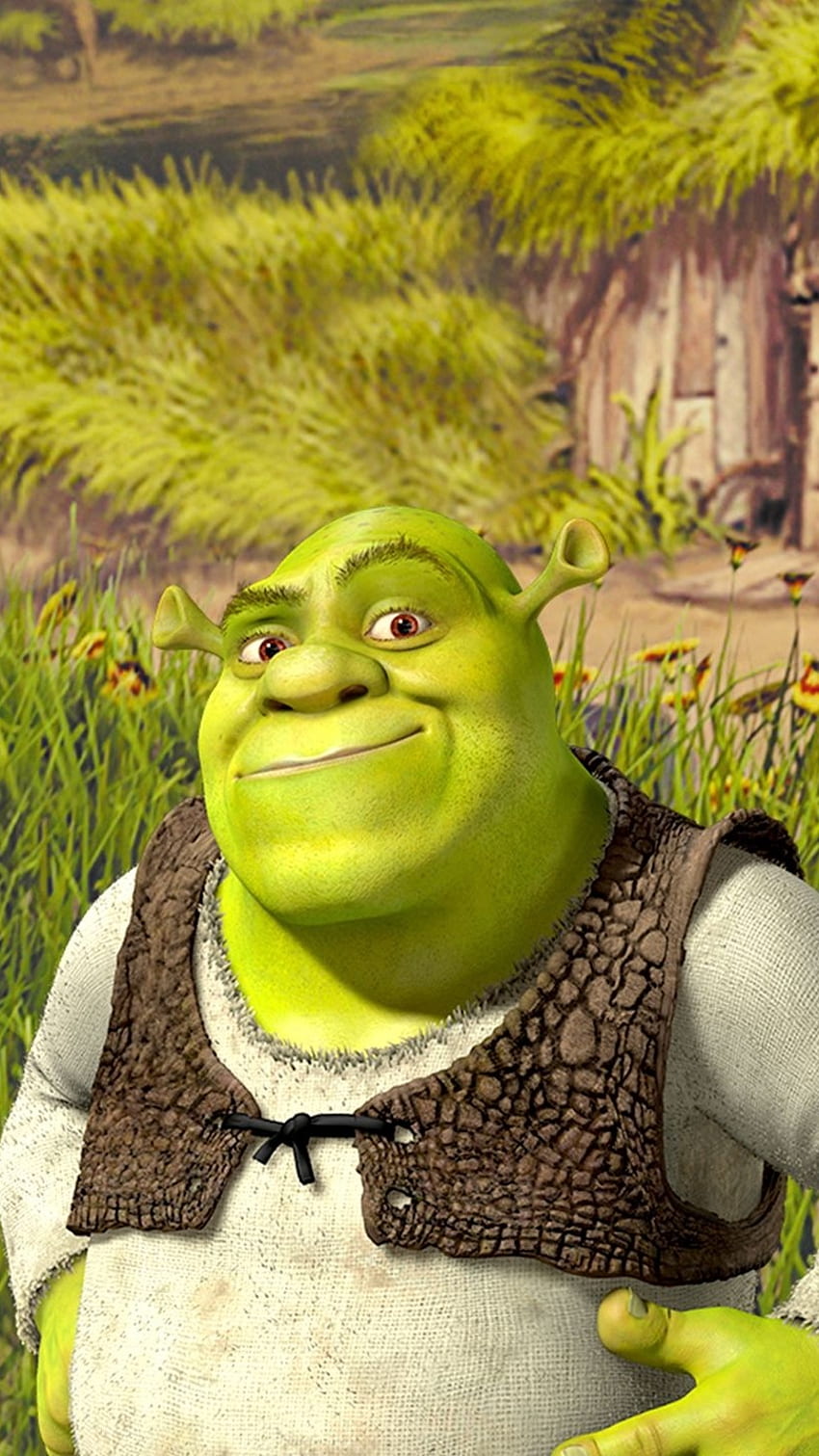 850x1511 Shrek, Shrek Swamp HD phone wallpaper