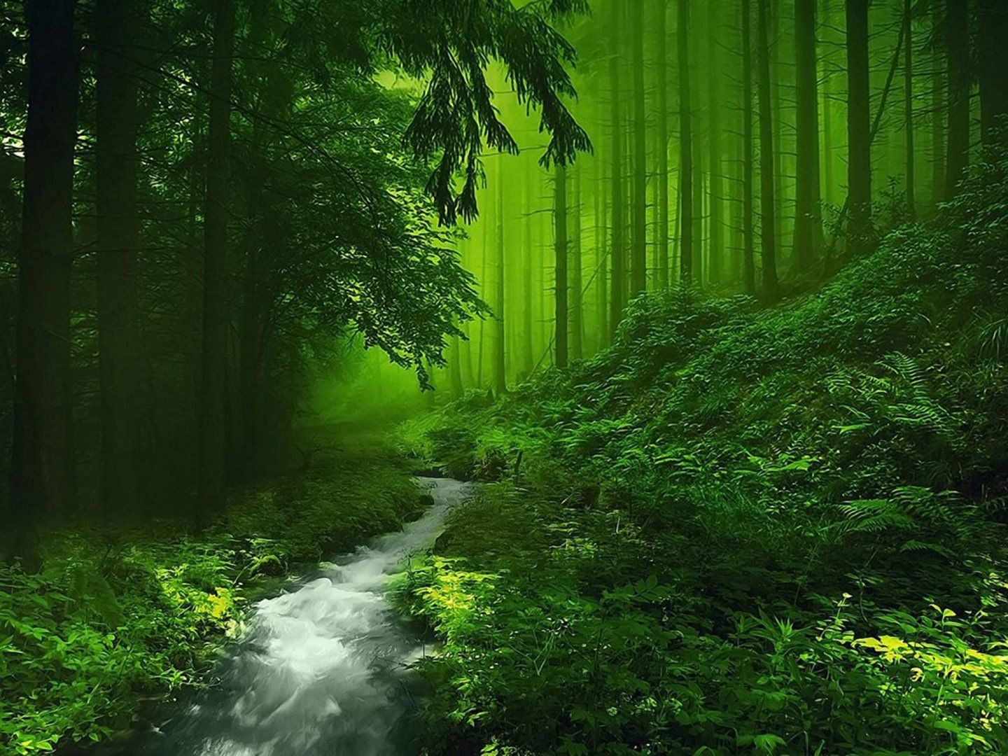 1440x1080 green, Nature, Deep, Forest, River Wallpaper HD / Desktop and Mobile Background