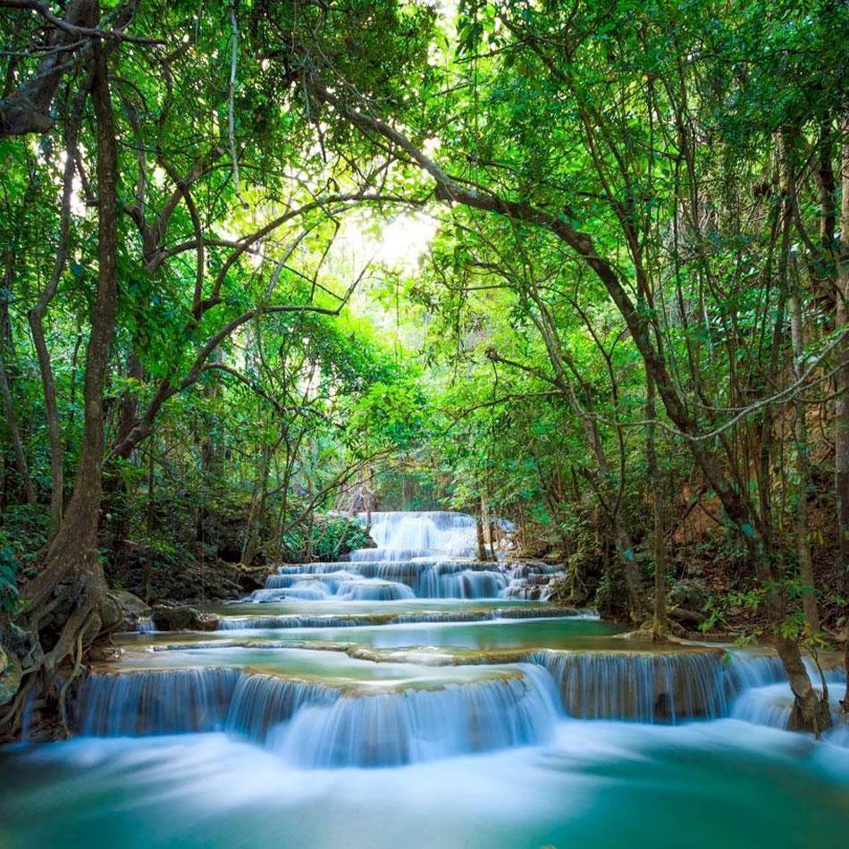 950x950 Deep Forest Waterfall Mural Wallpaper