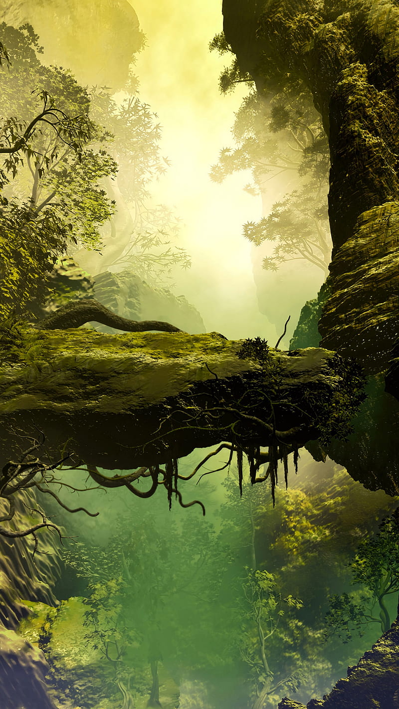 800x1422 1920x1200px, 1080P free download. Deep Nature, roots, stones, fog, trees, rock, realism, painting, landscape, art, HD phone wallpaper