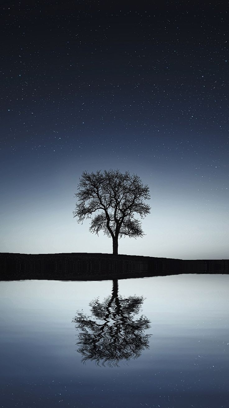 736x1308 Deep Reflection Phone Wallpaper Lockscreen HD 4K Android iOS