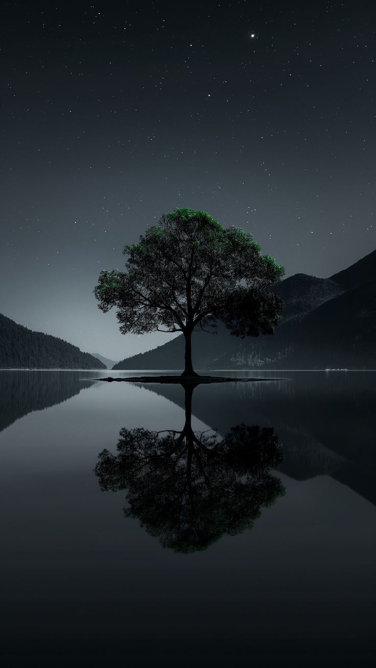 736x1308 Dark Wallpaper