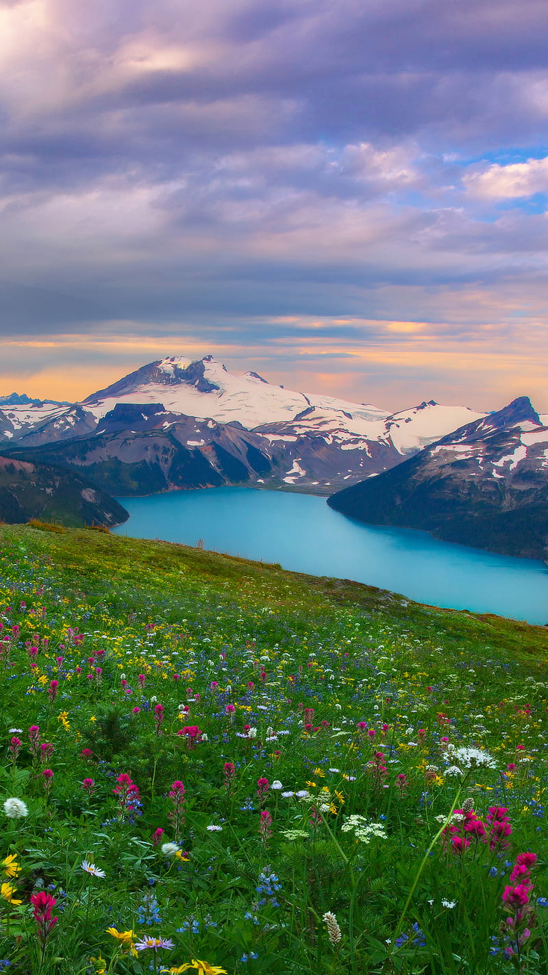 800x1422 Nature flowers, grass lake, mountains, spring, HD phone wallpaper