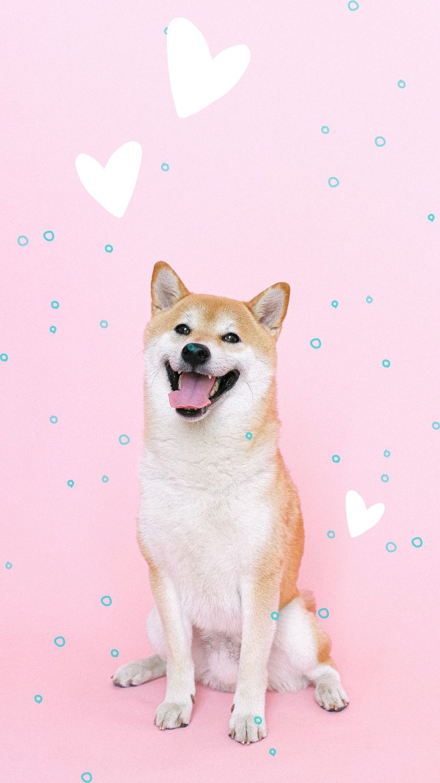900x1600 Free and customizable dog wallpaper templates