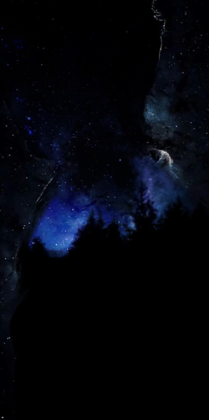 728x1459 Android 13 1080P, 2K, 4K, 5K HD wallpaper free download