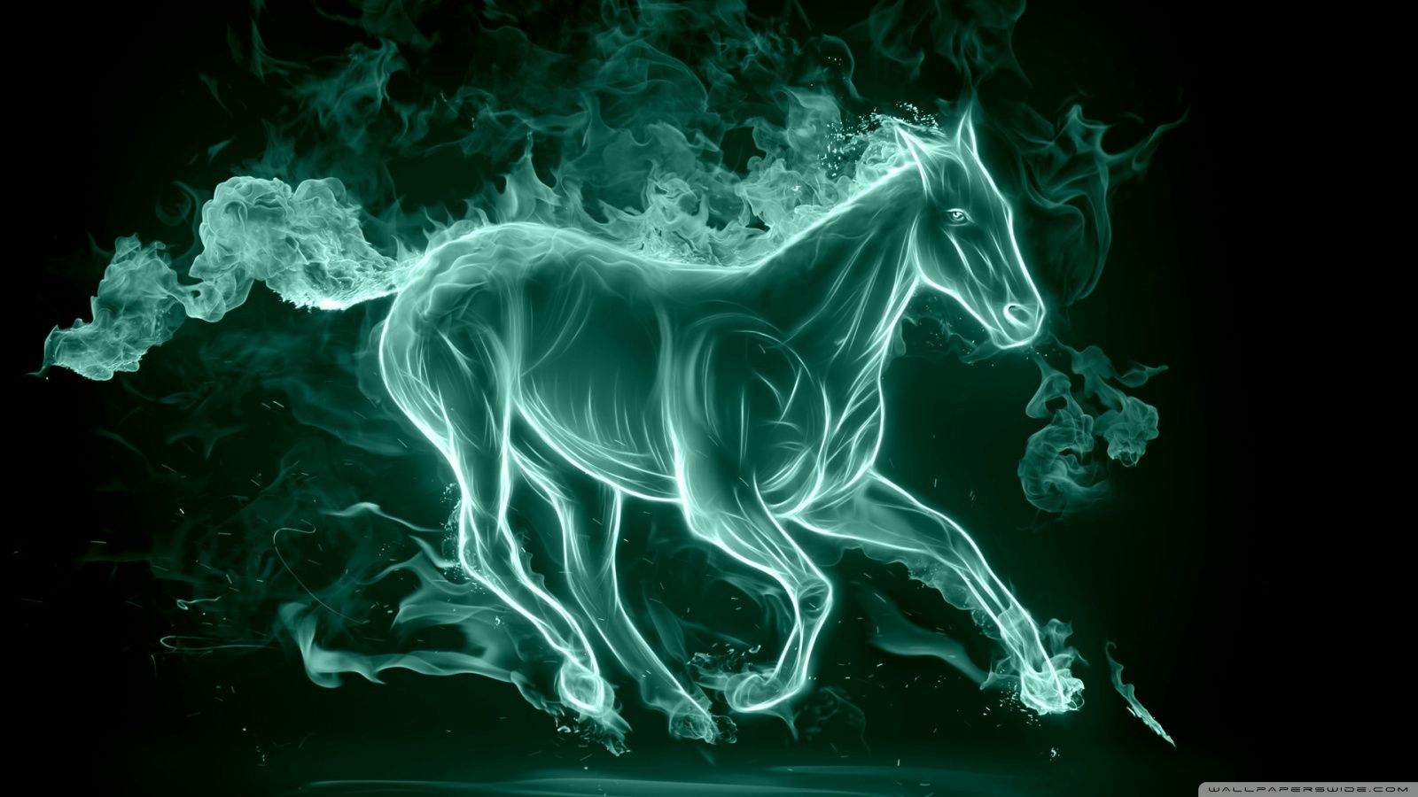 1600x900 Year of the Horse 4K UHD Wallpaper for UltraHD Desktop and TV : Smartphone and Tablet Devices