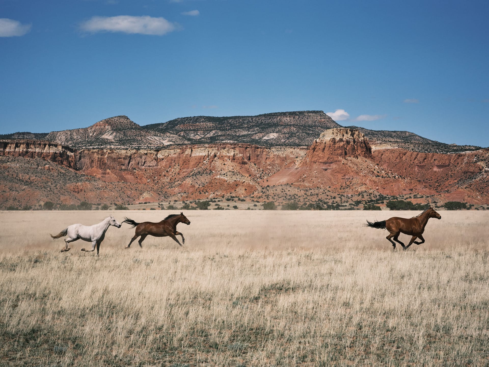 1920x1440 Ralph Lauren Home Introduces Western Inspired Collection Infused With Indigenous Craft