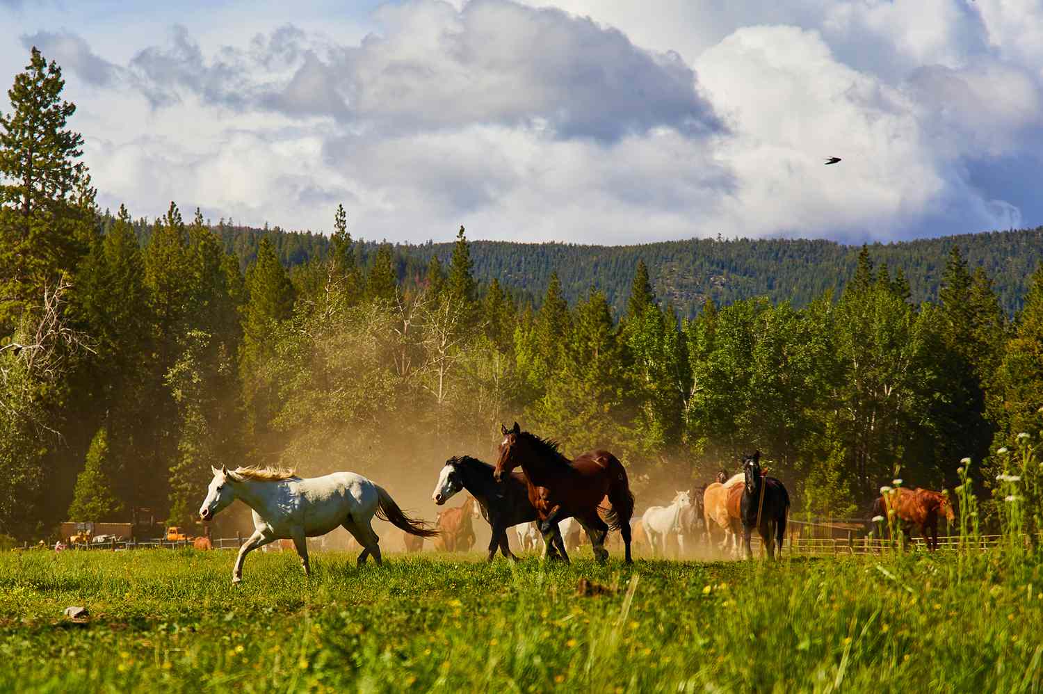 1500x998 Greenhorn Ranch Is the Perfect 'Yellowstone' Dupe