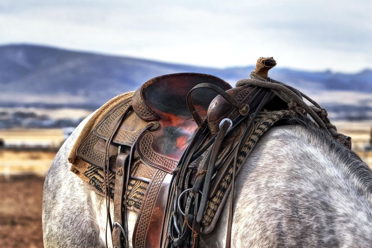 1280x853 Free Cowboy Ranch & Cowboy Image