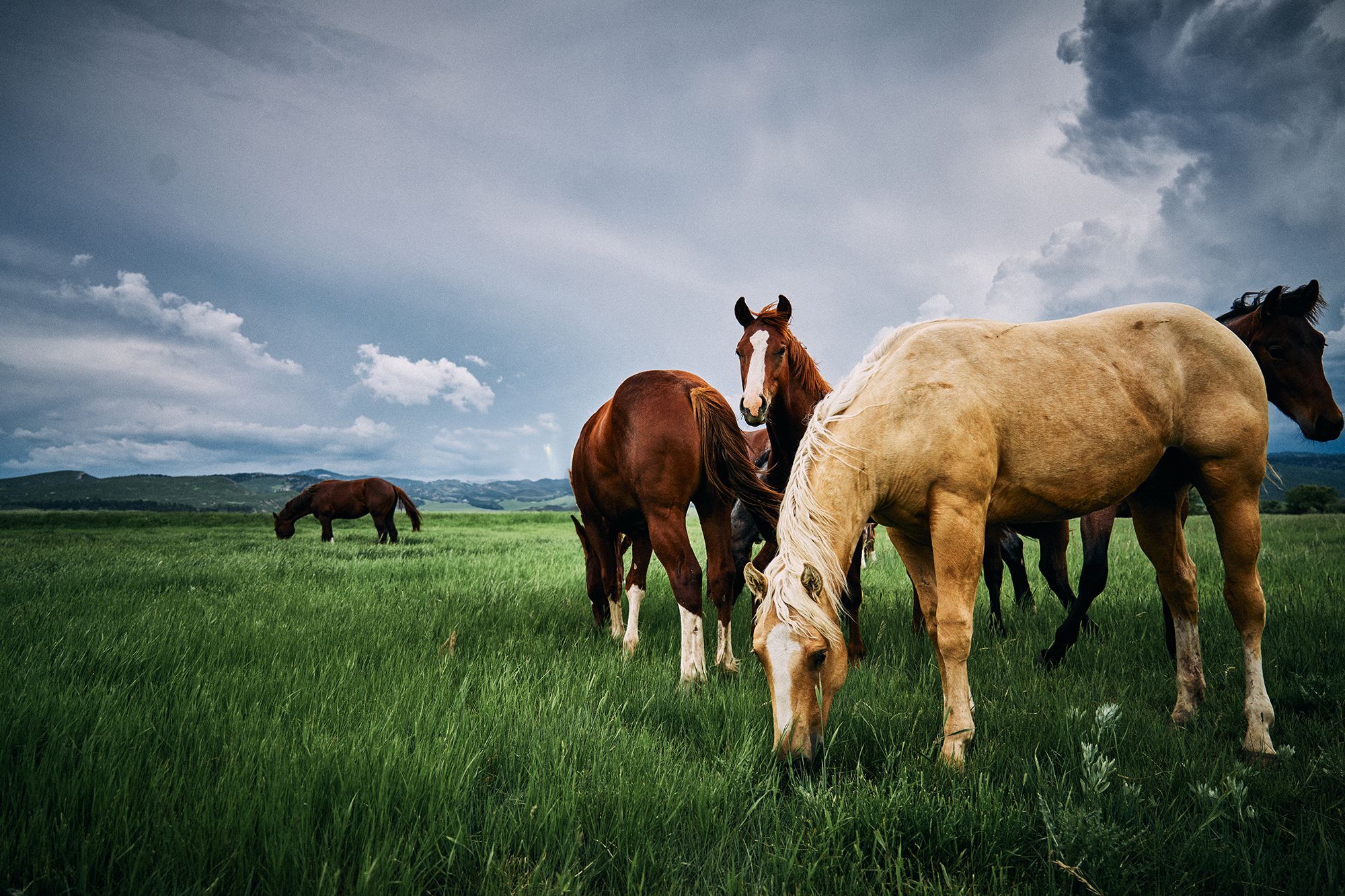 2000x1333 best ranches in the west: Stories, Guides, Videos & More