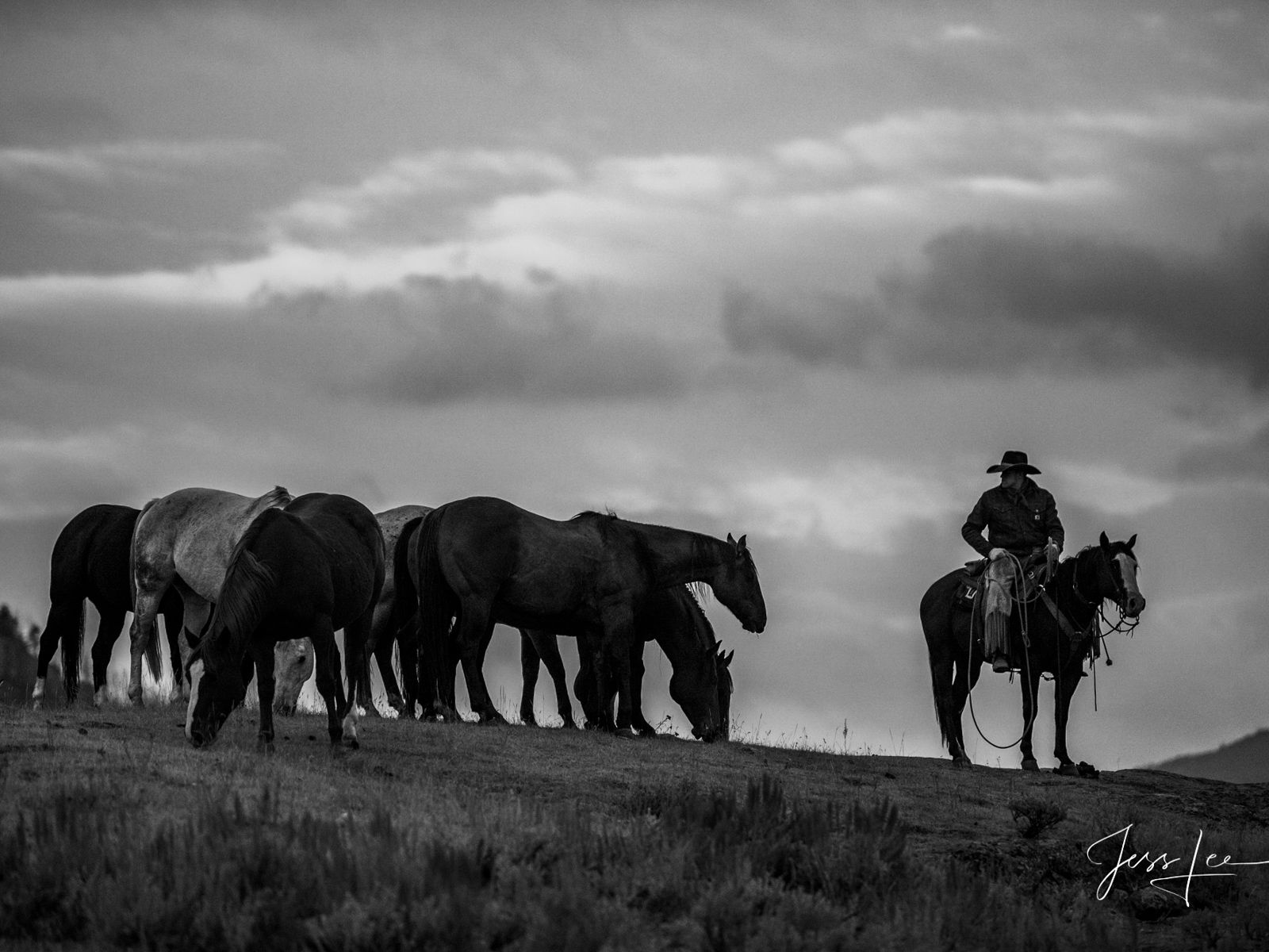 1600x1200 Watching the herd (3x4). Wyoming. Large Format Prints