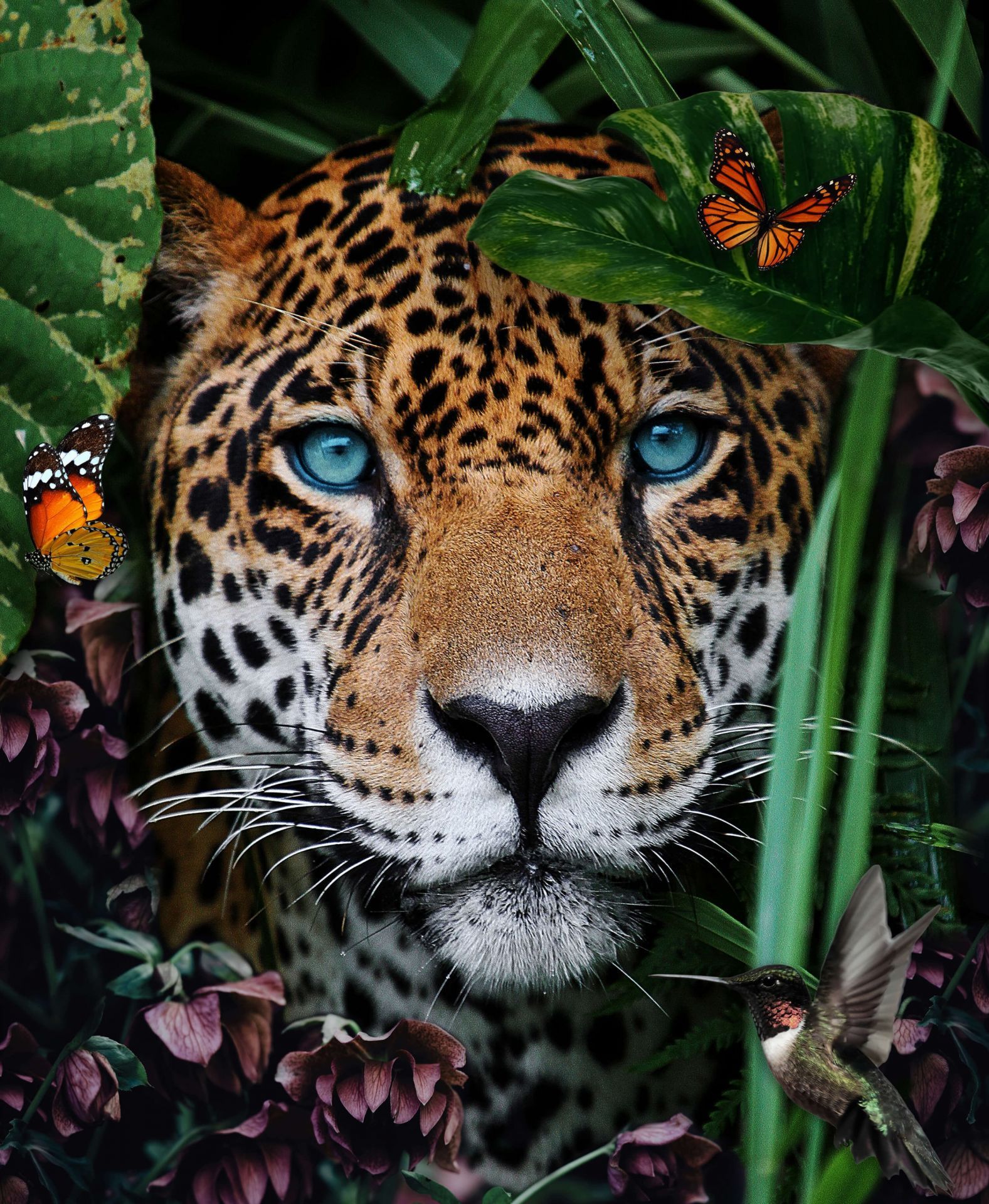 1577x1920 Jungle Leopard