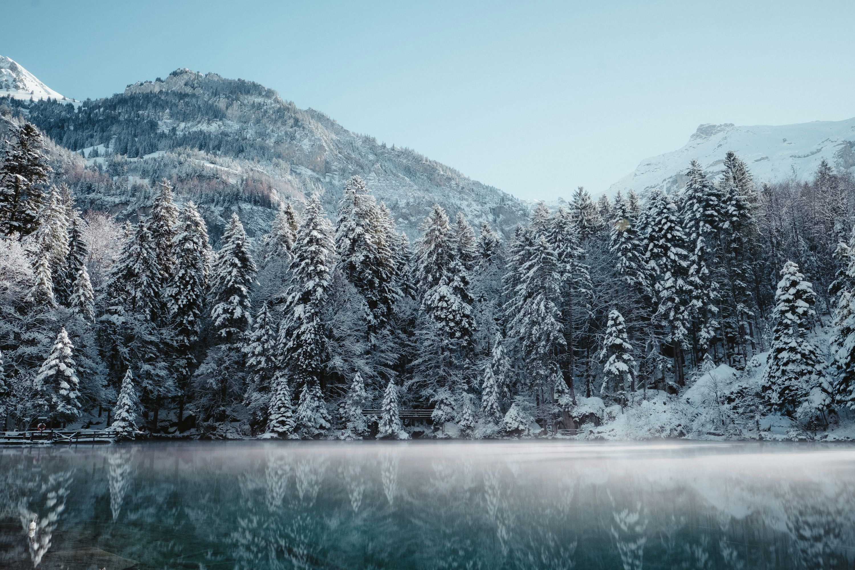 3000x2000 Winter Wallpaper: Free HD Download [4K]