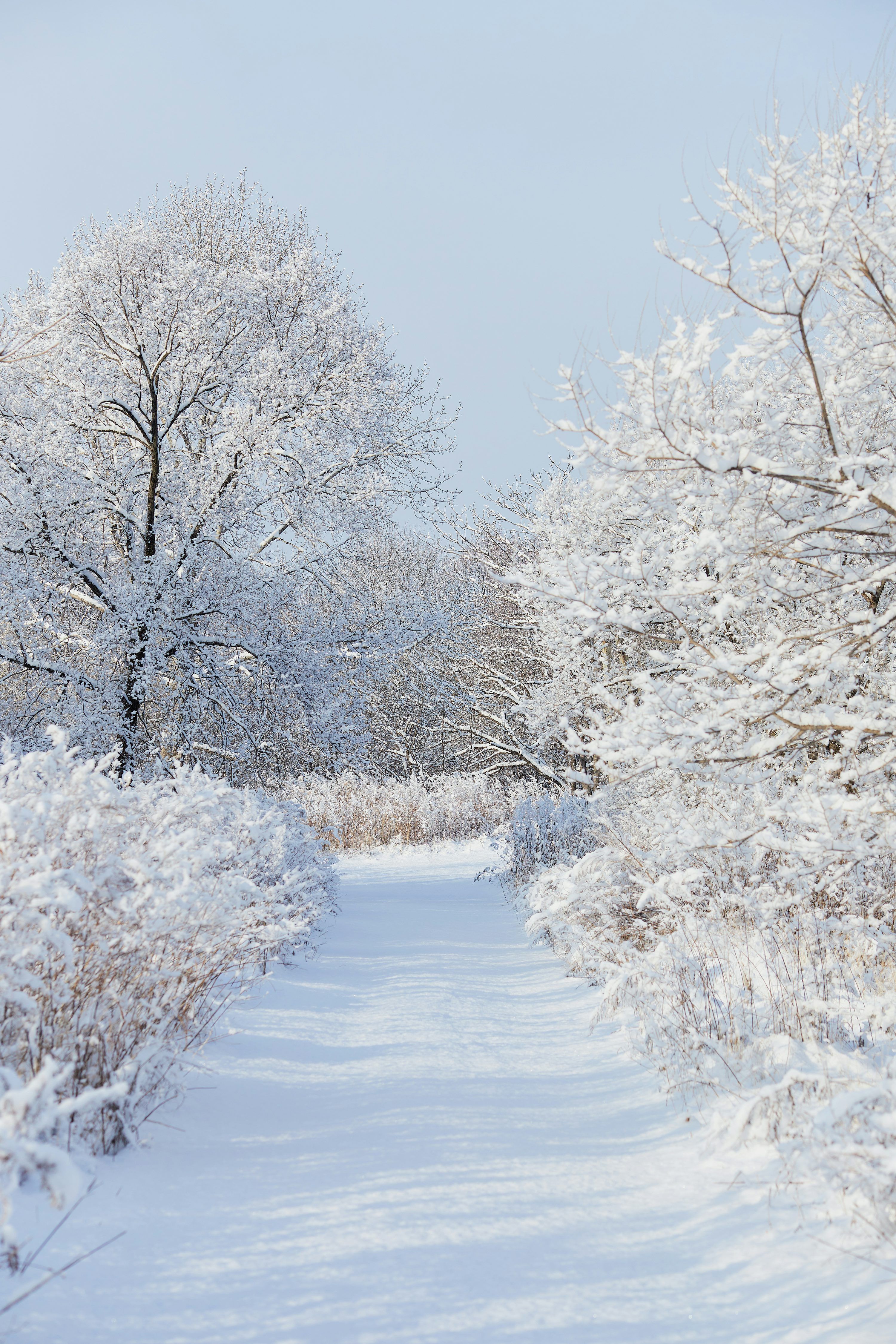 3000x4500 Winter Aesthetic Picture. Download Free Image