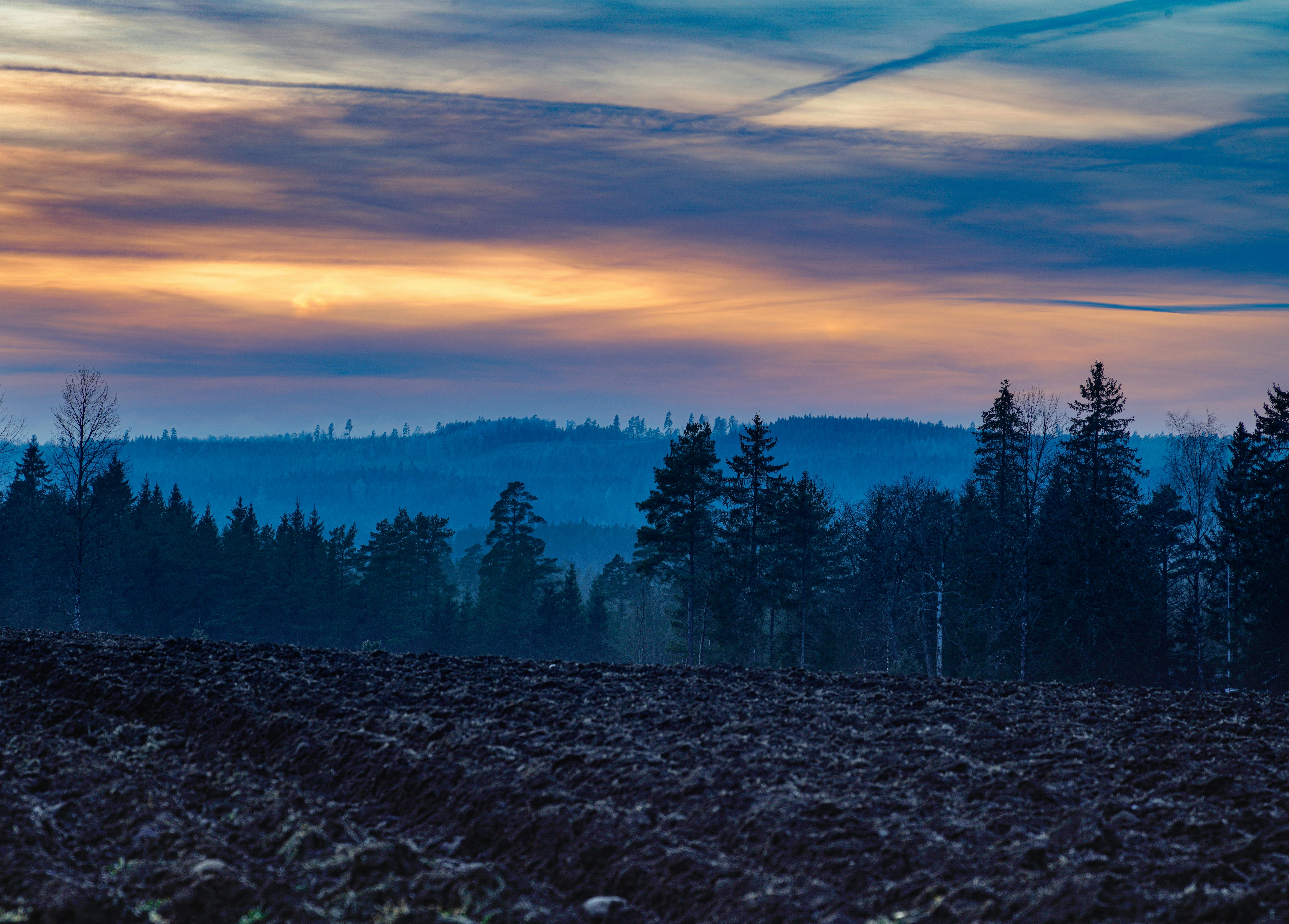 7396x5304 Vibrant Twilight over Serene Forest Landscape · Free
