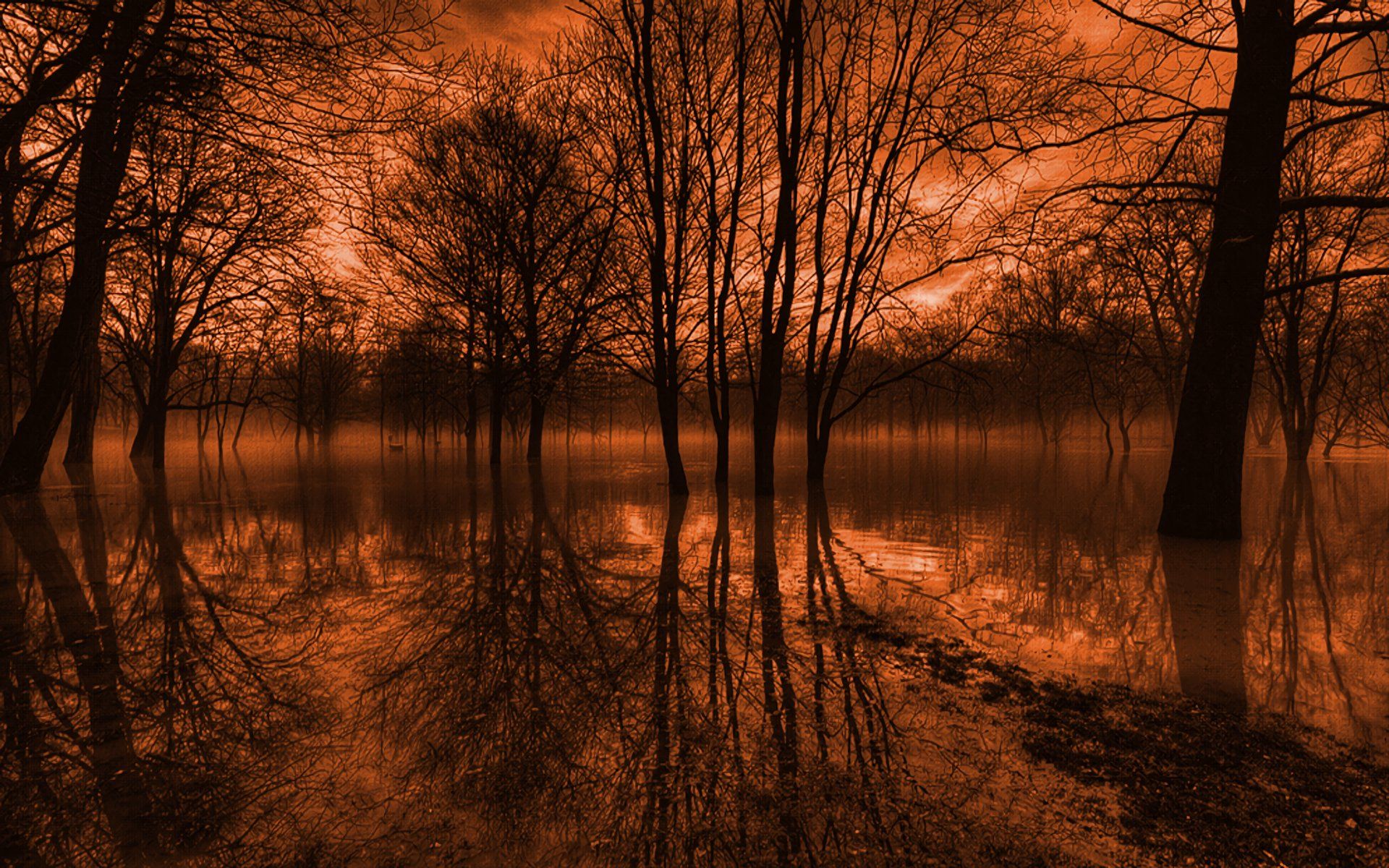 1920x1200 Reflections of Twilight Nature Wallpaper