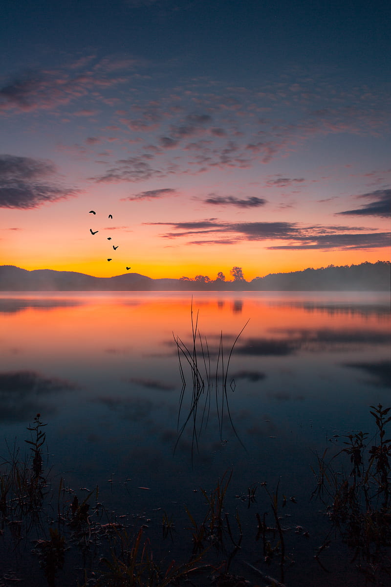 800x1200 Lake, fog, sunset, twilight, landscape, HD phone wallpaper