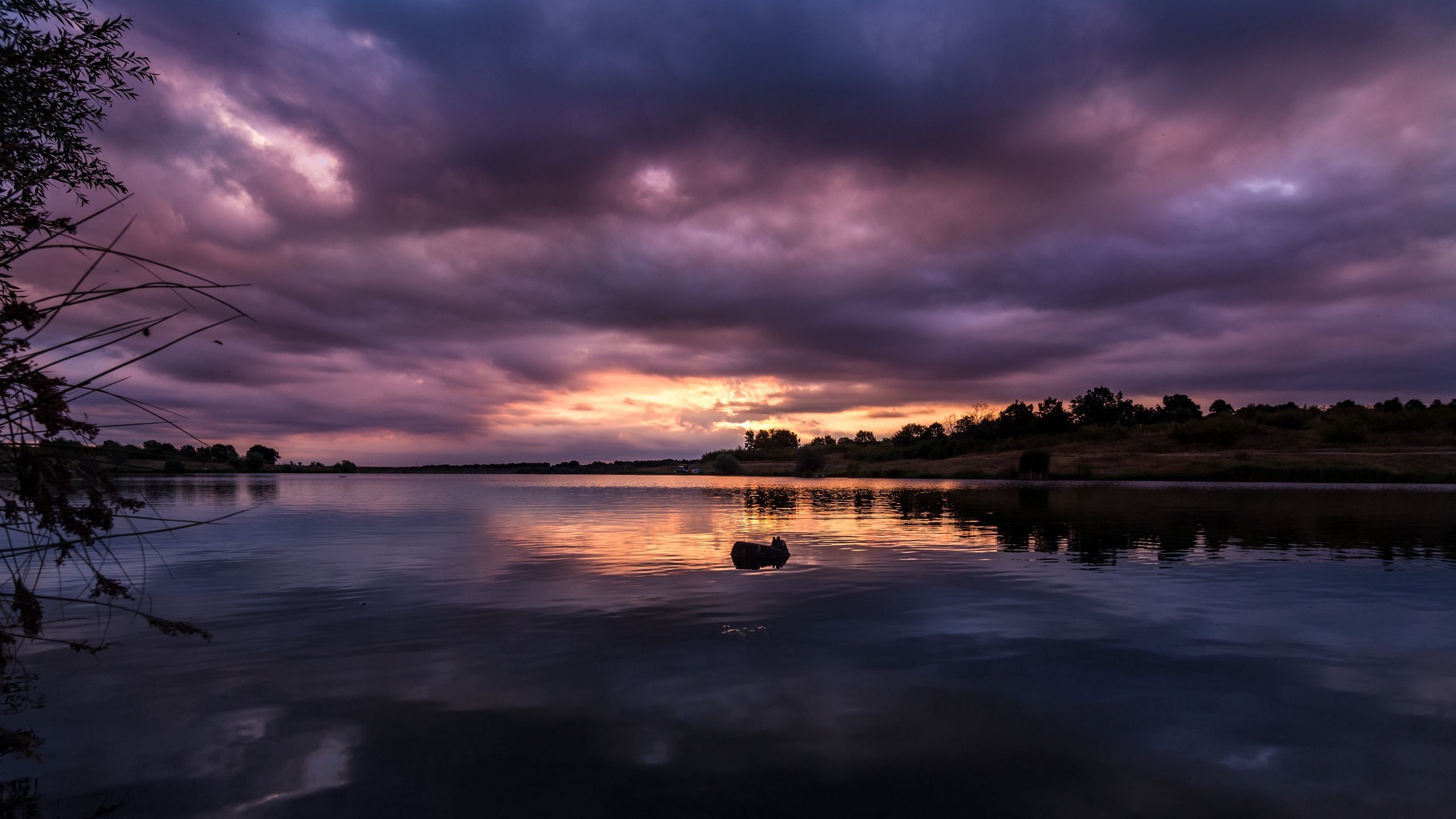 2560x1440 Download wallpaper 2560x1440 river, sunset, trees, clouds, twilight widescreen 16:9 HD background