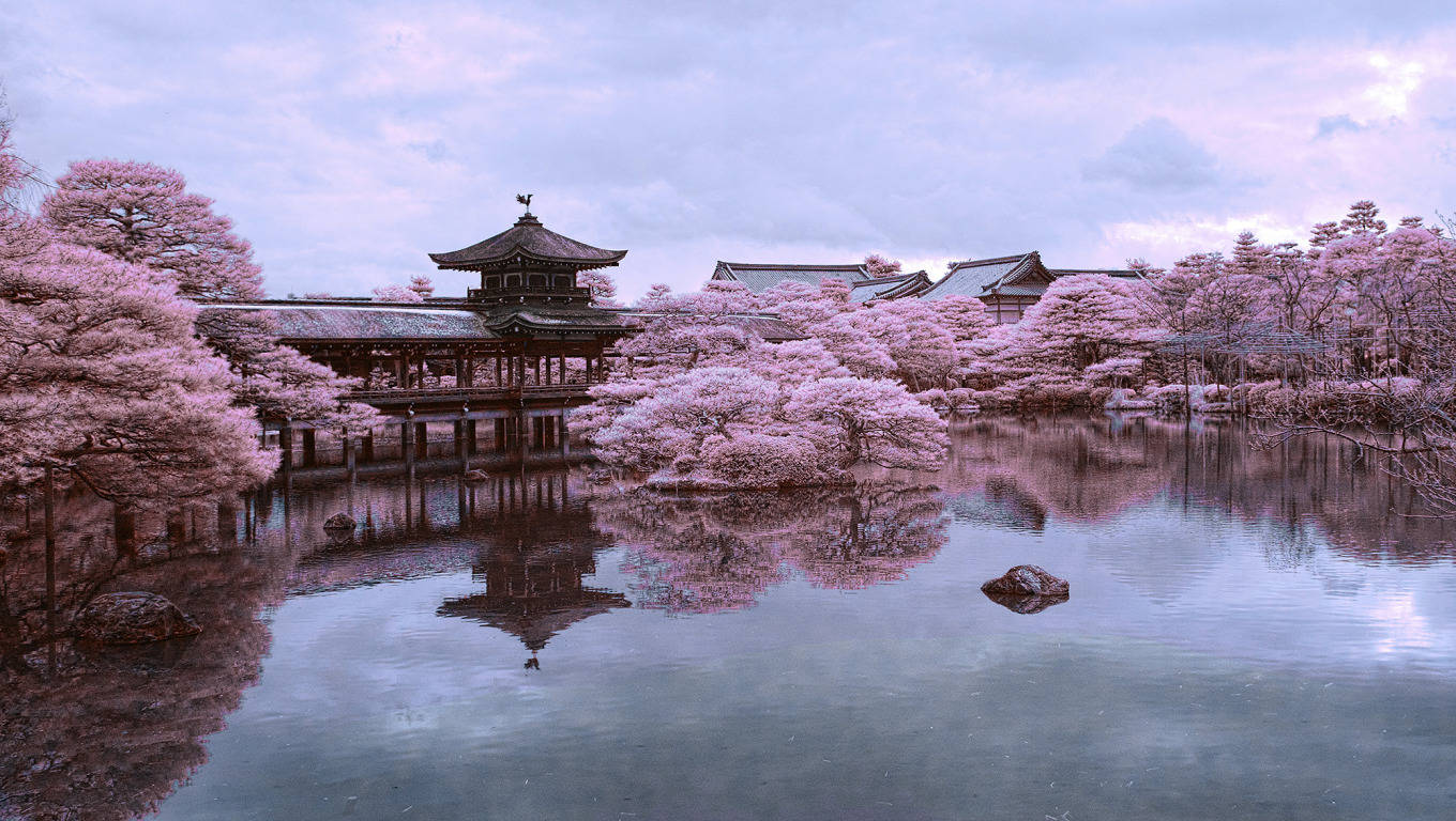 1360x768 Download Kyoto Sakura Pond Wallpaper