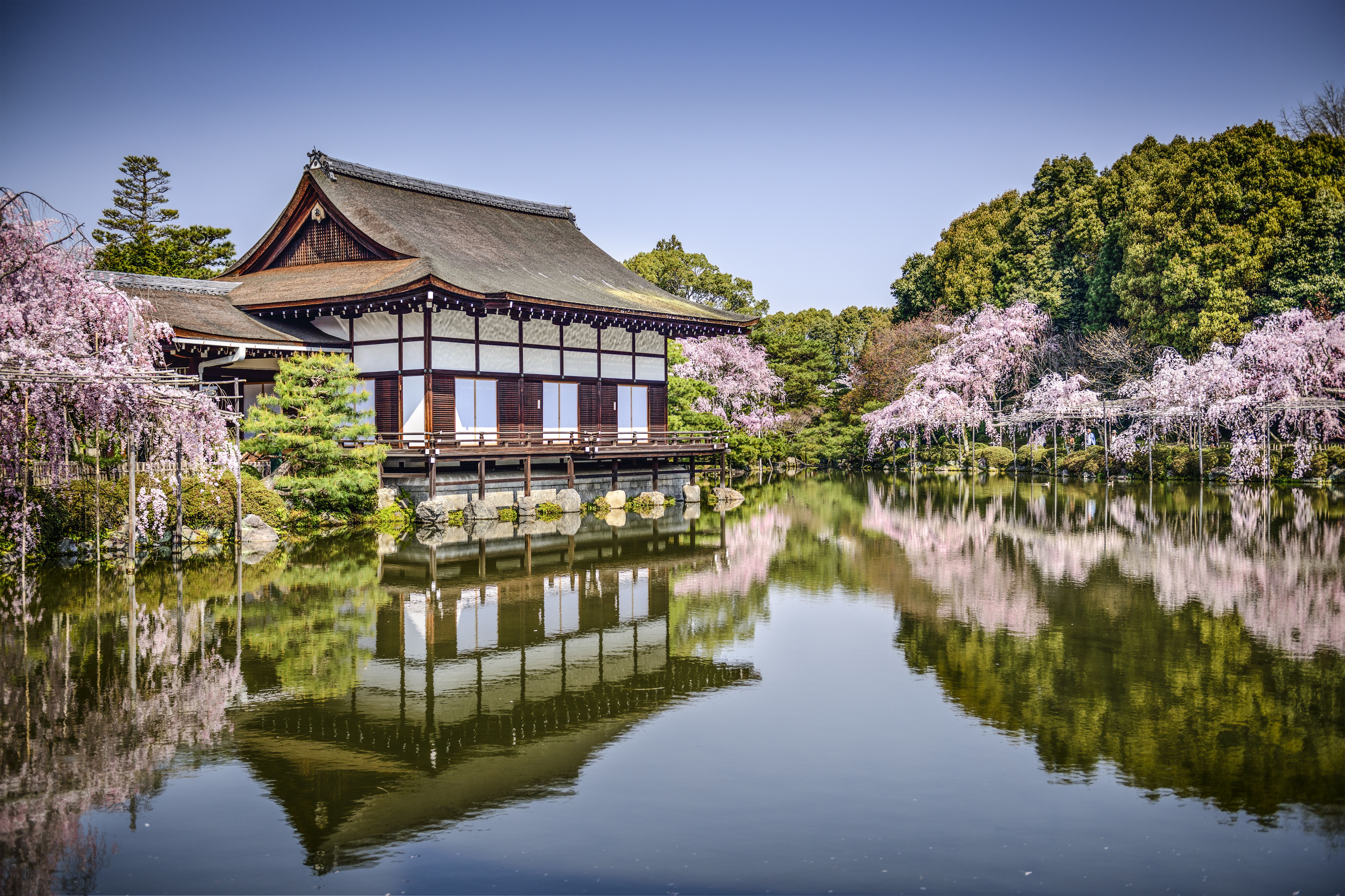 6000x4000 Wallpaper trees, lake, pond, Park, reflection, spring, Japan, Sakura for mobile and desktop, section город, resolution 6000x4000