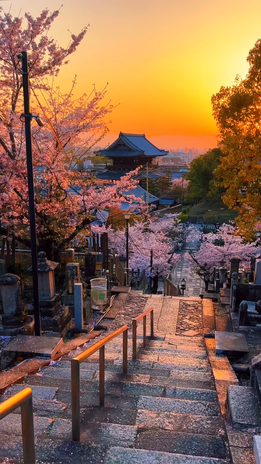 1080x1920 Kyoto in Spring
