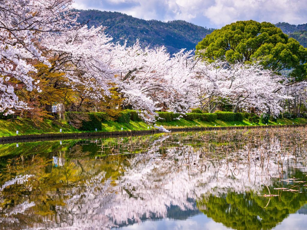 1024x768 Kyoto Holidays Made By Steppes Travel