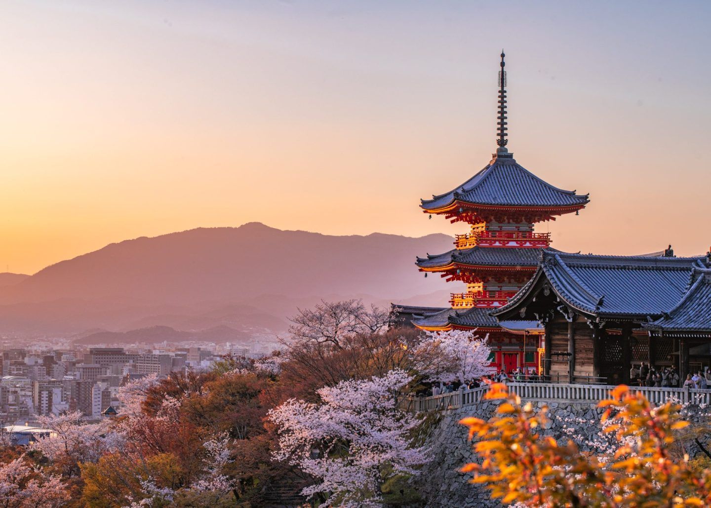 1440x1029 Best Places to Photograph Cherry Blossoms in Kyoto in 2026