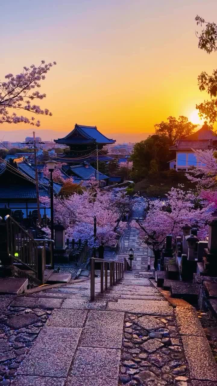 720x1280 Kyoto Japan Scenery