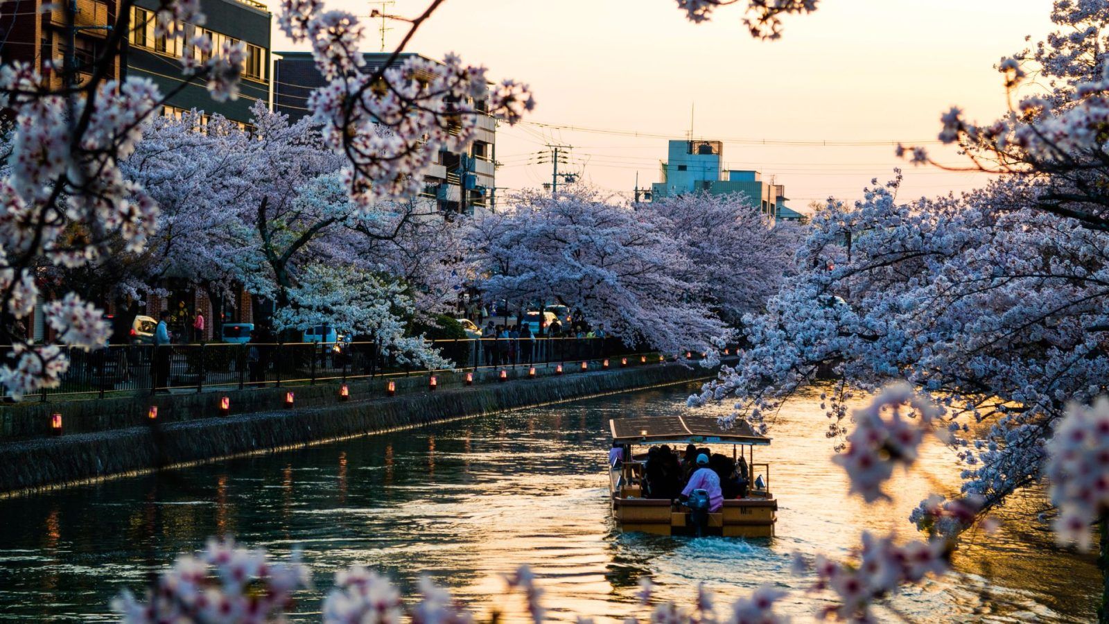 1600x900 Kyoto Travel Guide: Explore Japan's Scenic, Spiritual City