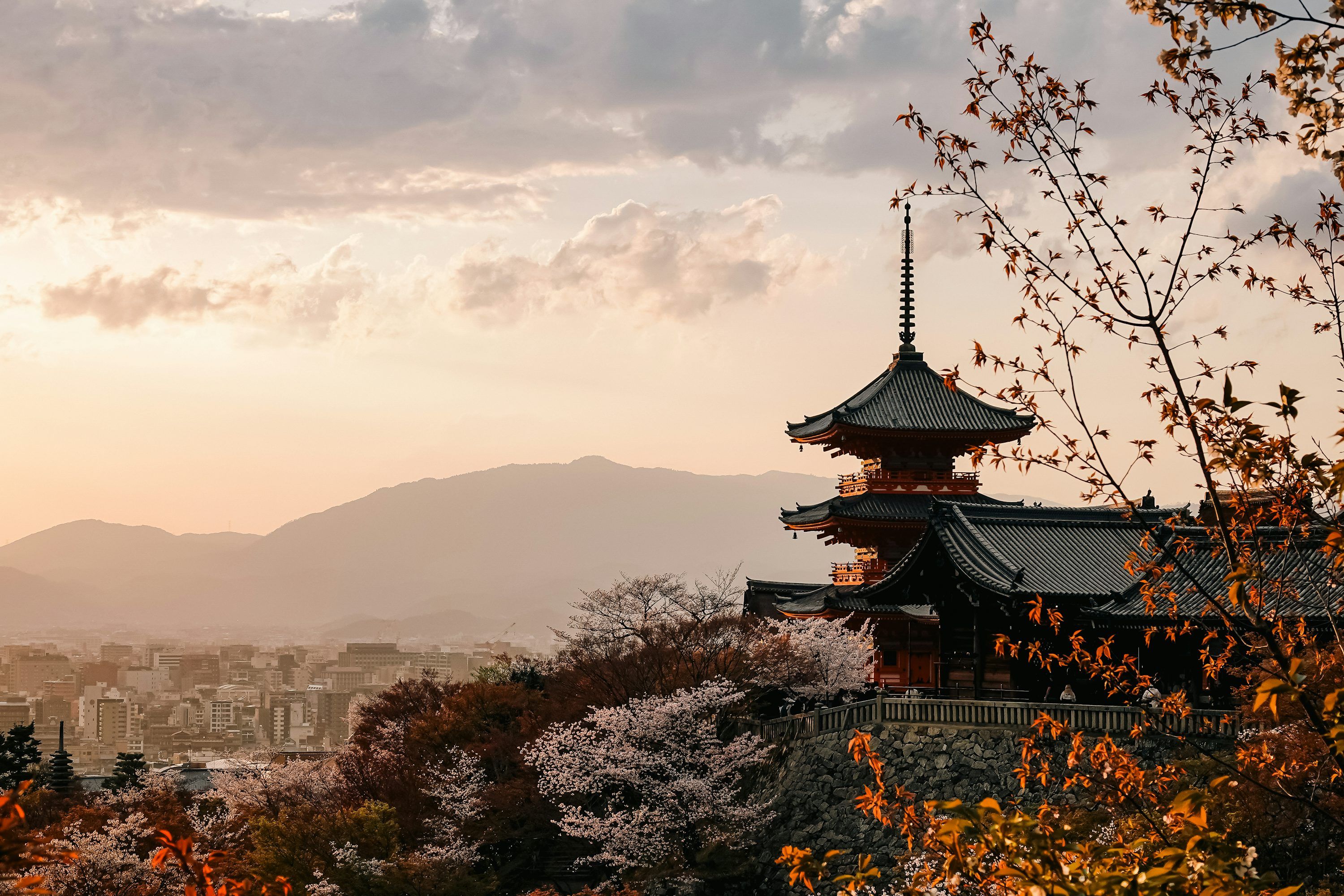 3000x2000 Traditional japanese temple with cherry blossoms at sunset photo