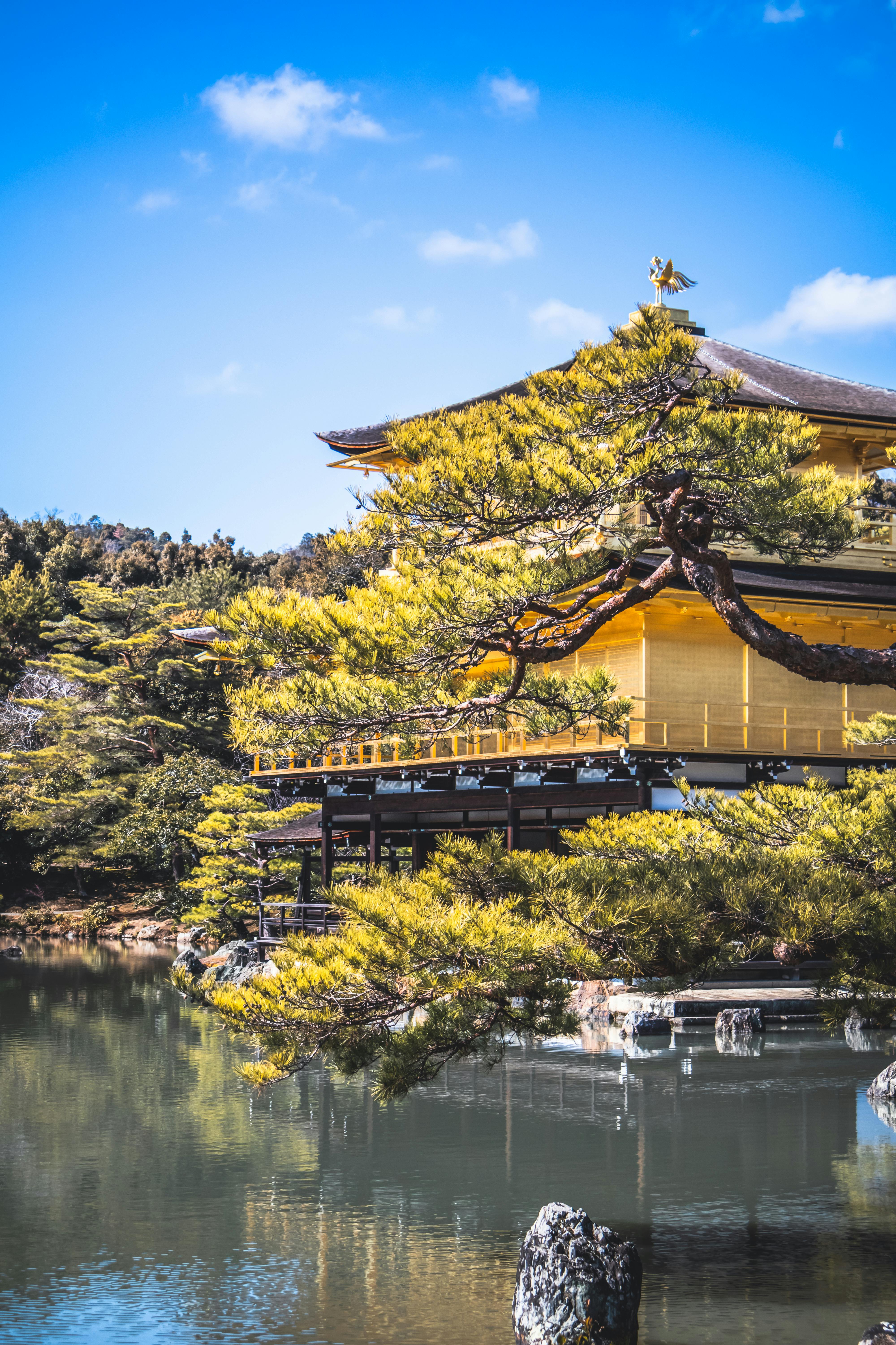 4000x6000 Japanwallpaper · Free