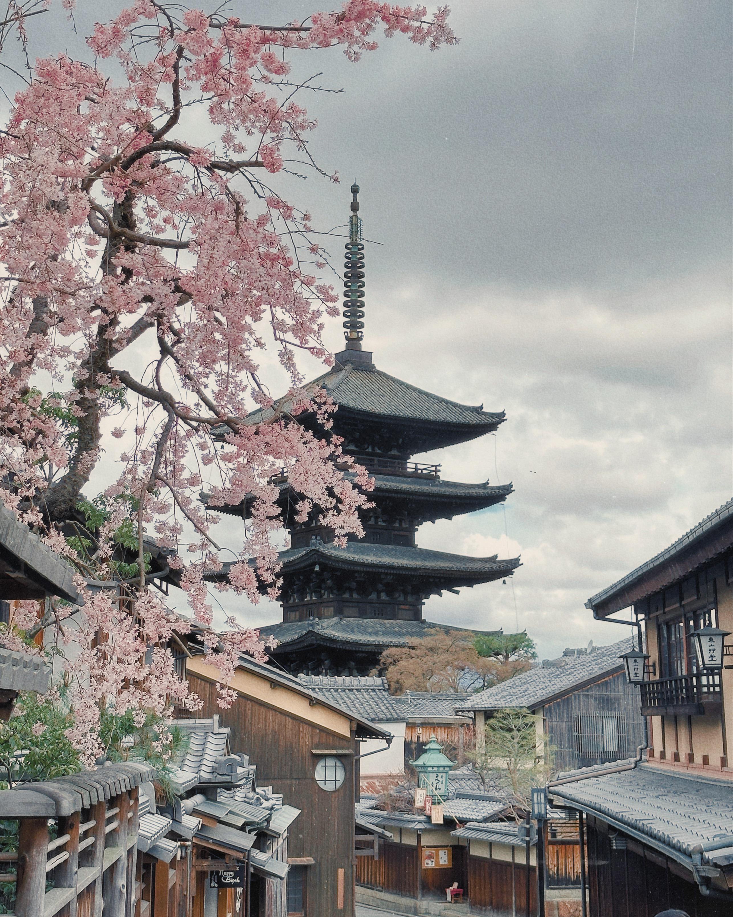 2573x3216 First time in Japan and I absolutely loved Kyoto