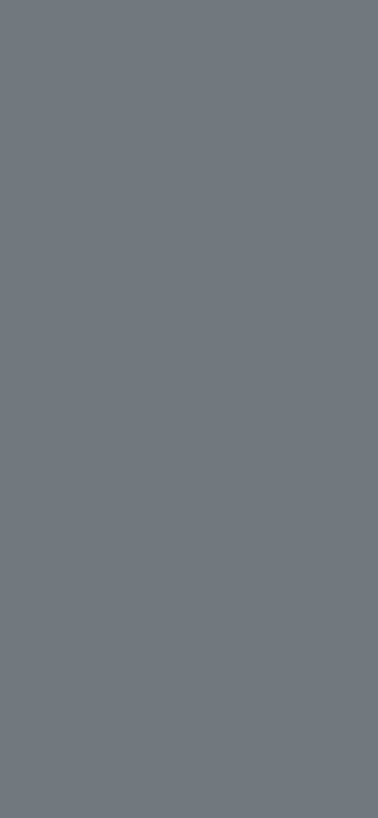 1284x2778 Steel Gray e Hex Color (Shades & Complementary Colors)