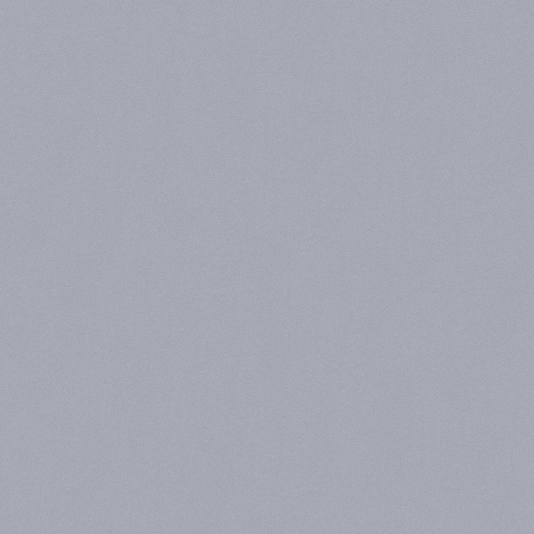 1800x1800 Plain Grey Wallpaper, HD Background