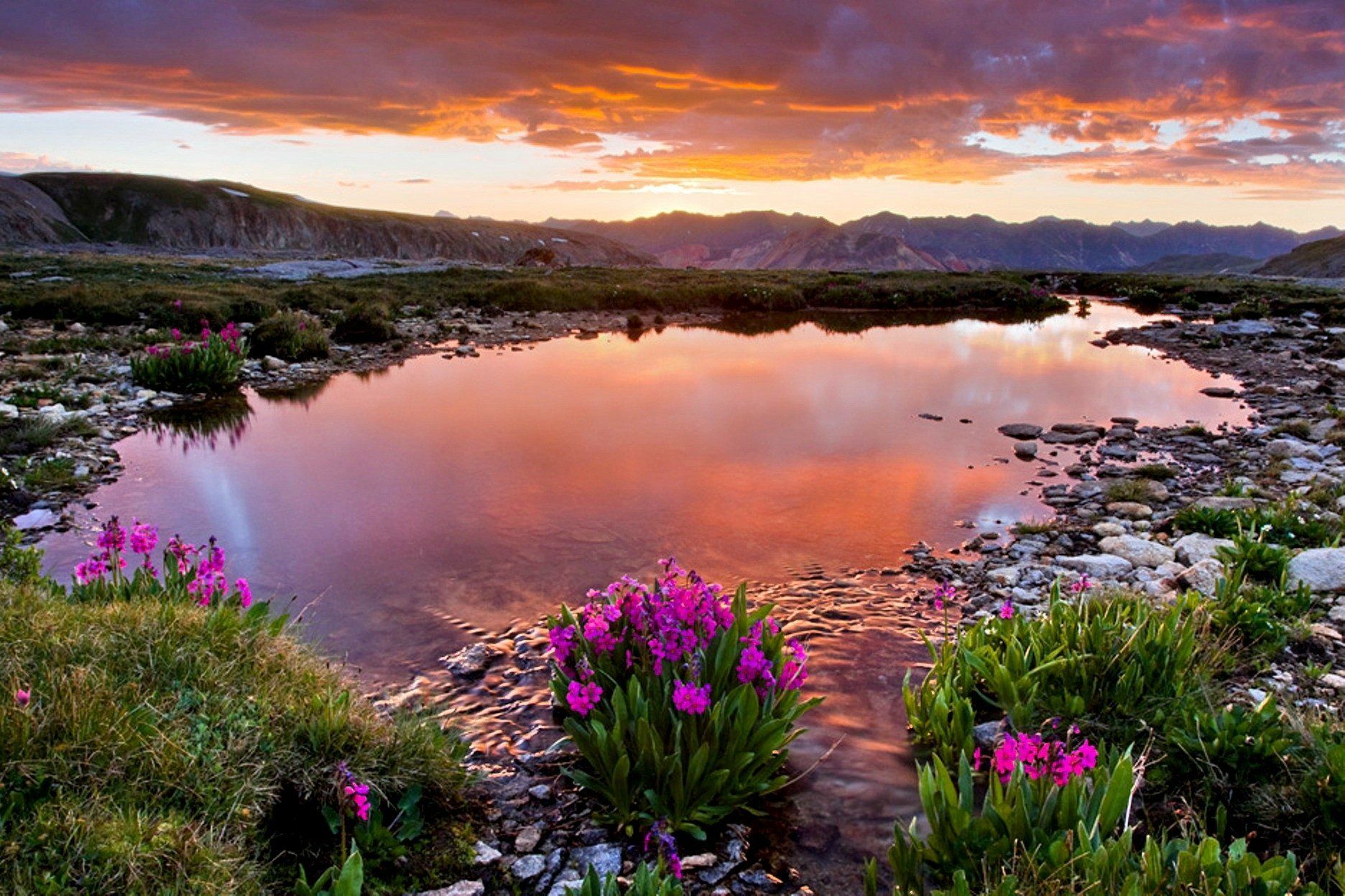 1872x1248 Spring Wildflowers at Mountain Lake Sunset