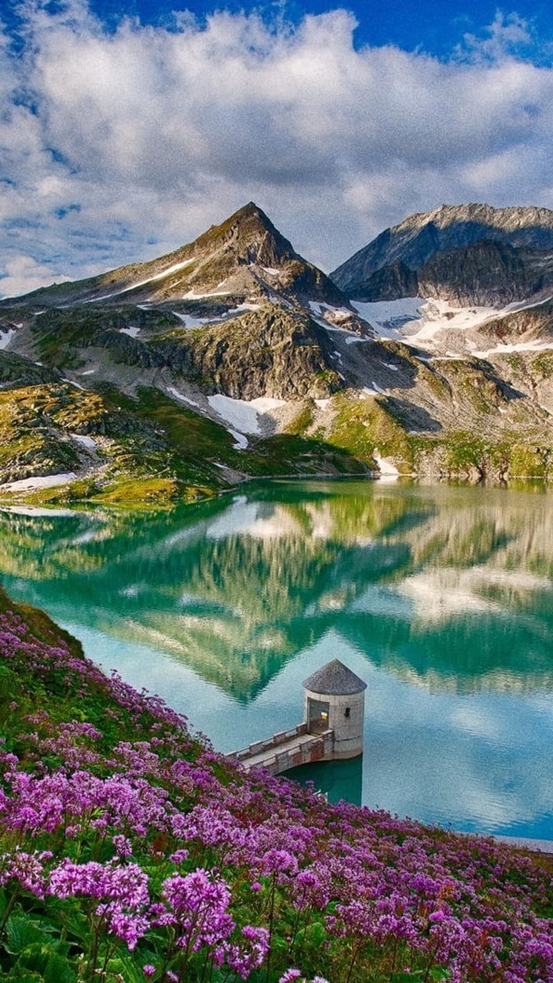 800x1421 Beautiful Scenery, Beautiful Spring, Mountains, Lake, Flowers, Water Reflection, HD phone wallpaper