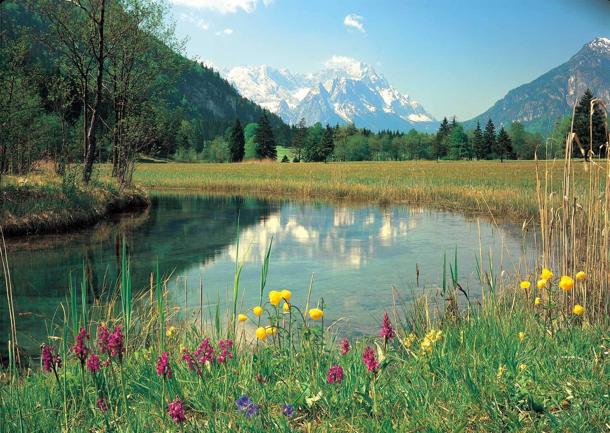 2000x1421 Mountain Lake Wall Mural
