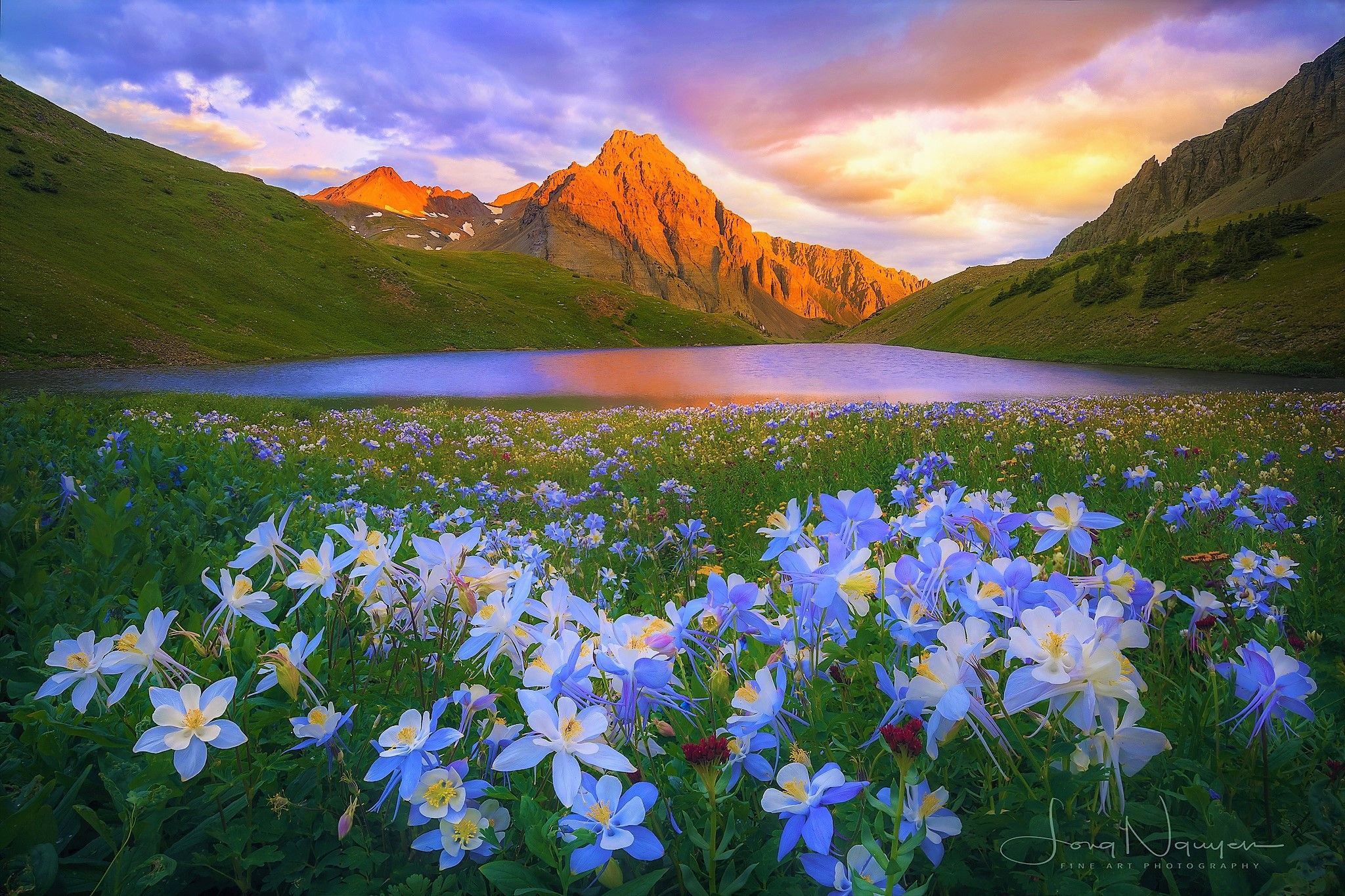 2048x1365 Spring Blossoms by the Mountain Lake: A Stunning Blue Flower Landscape HD