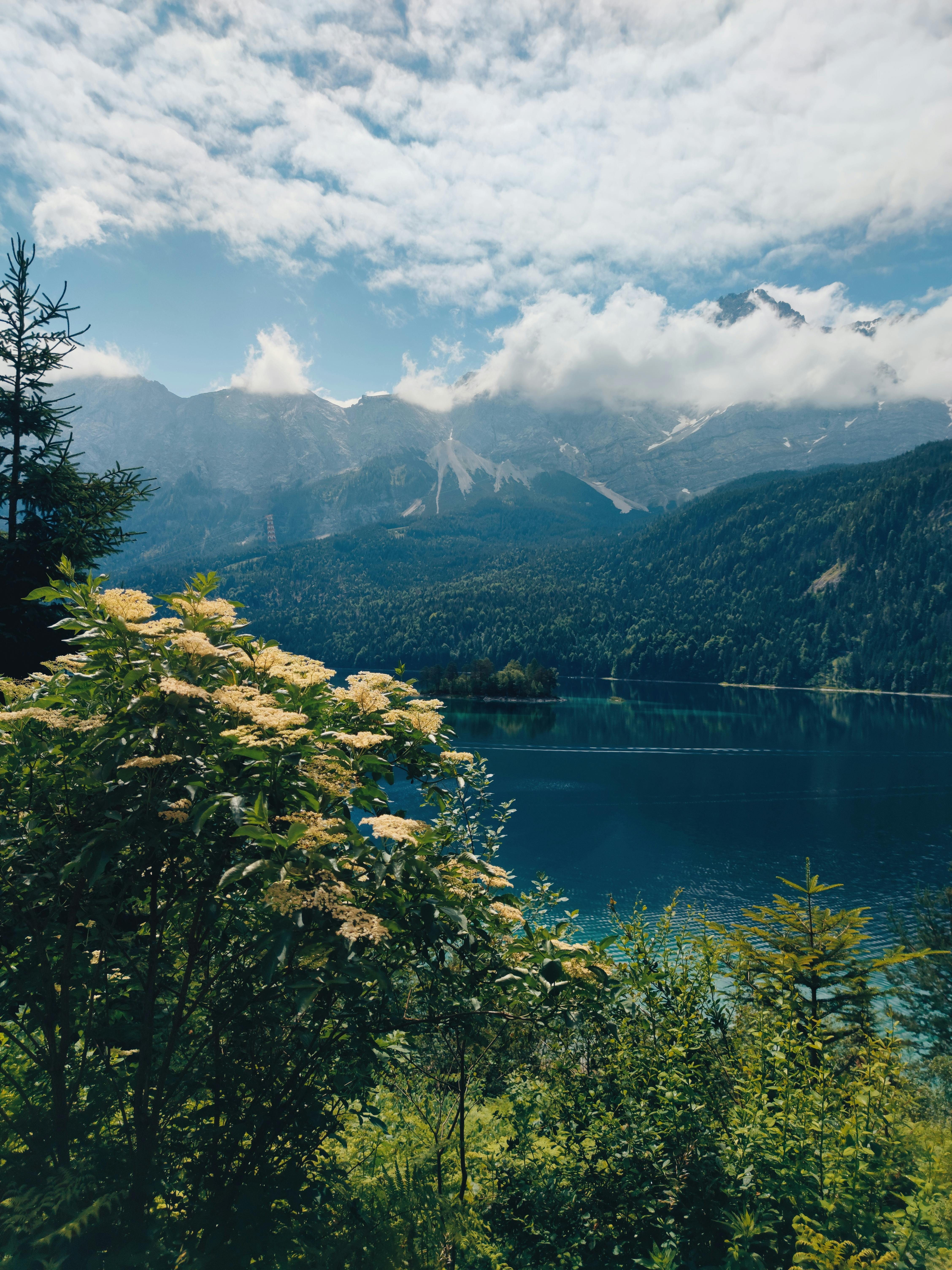 4512x6016 View of a Lake in a Mountain Valley · Free