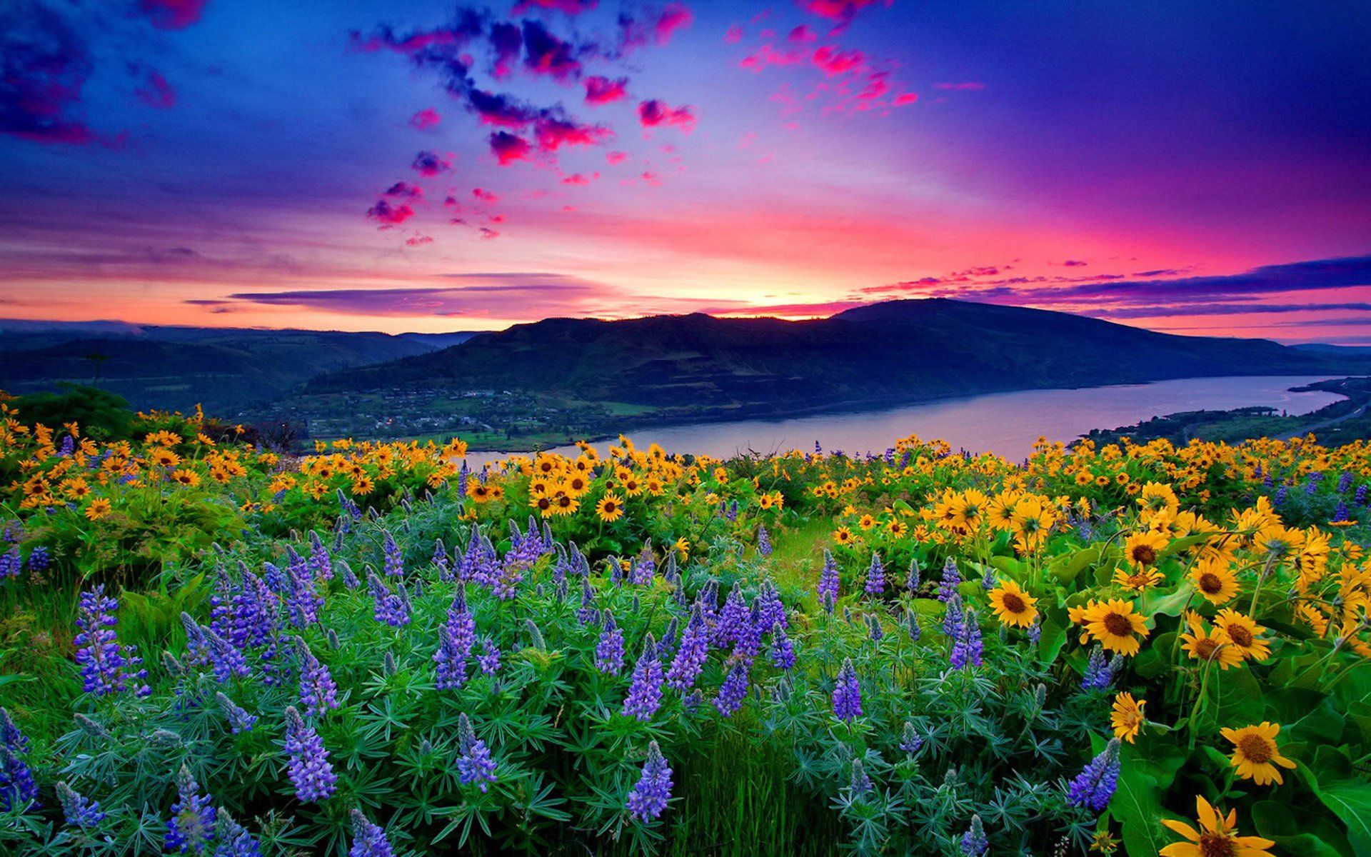 1920x1200 Download Lake Spring Mountain Landscape Nature Flower HD Wallpaper