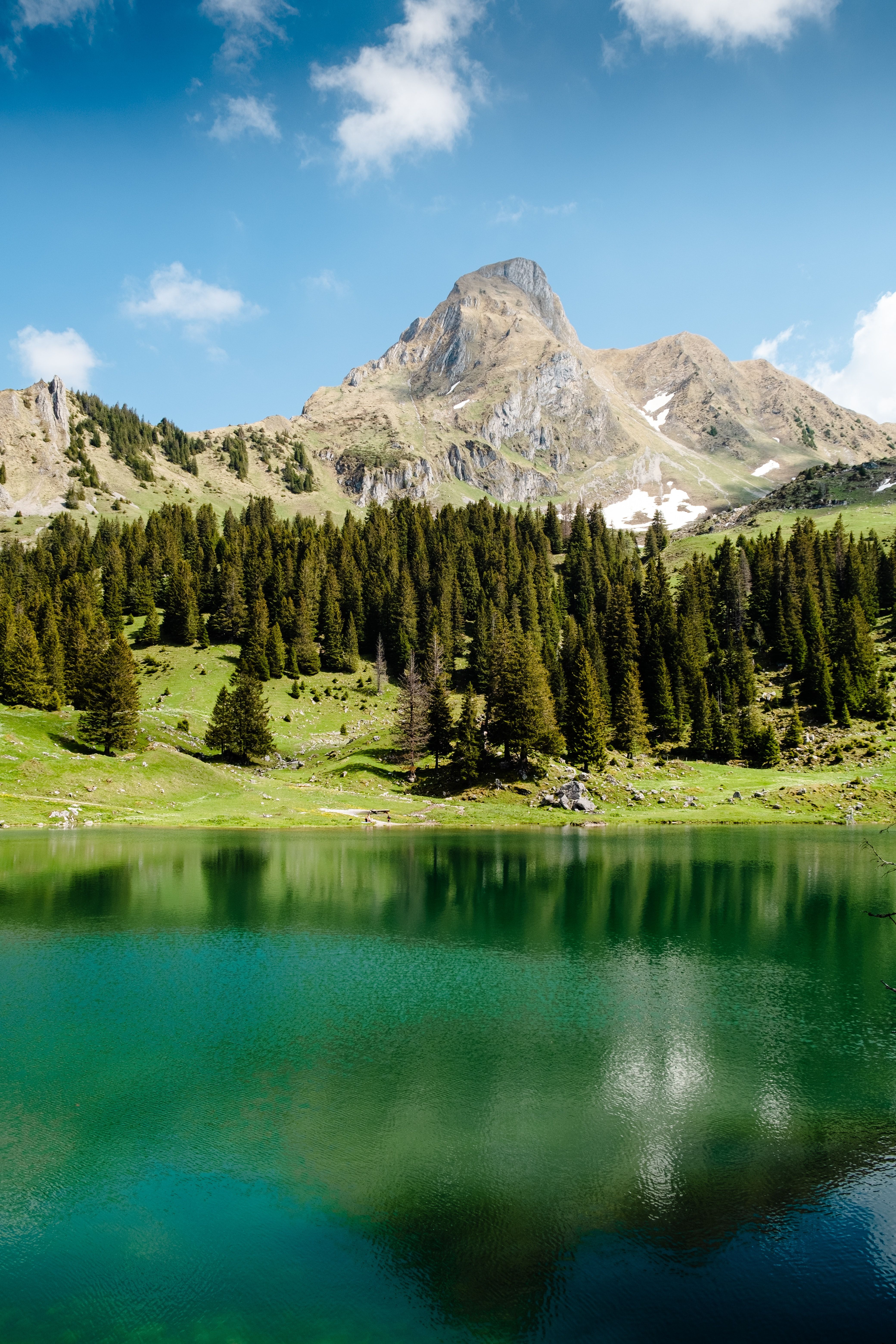 4160x6240 Gantrischseeli lake Wallpaper 4K, Pine trees, Spring, Reflection