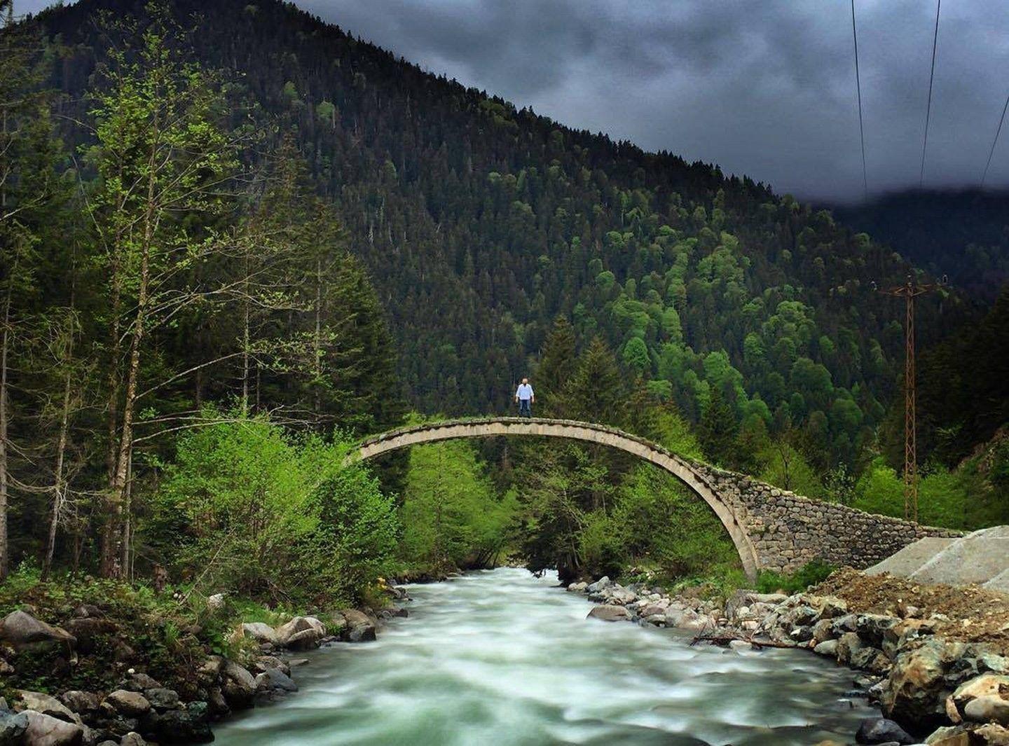 1440x1065 Landscapes: Amazing Beauty Yaylasi Rize Sky Turkey Nature River Cat