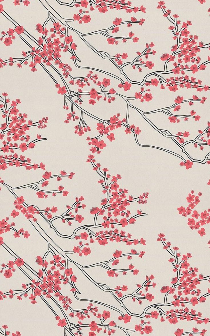 735x1173 Japanese Cherry Blossom Murals and More
