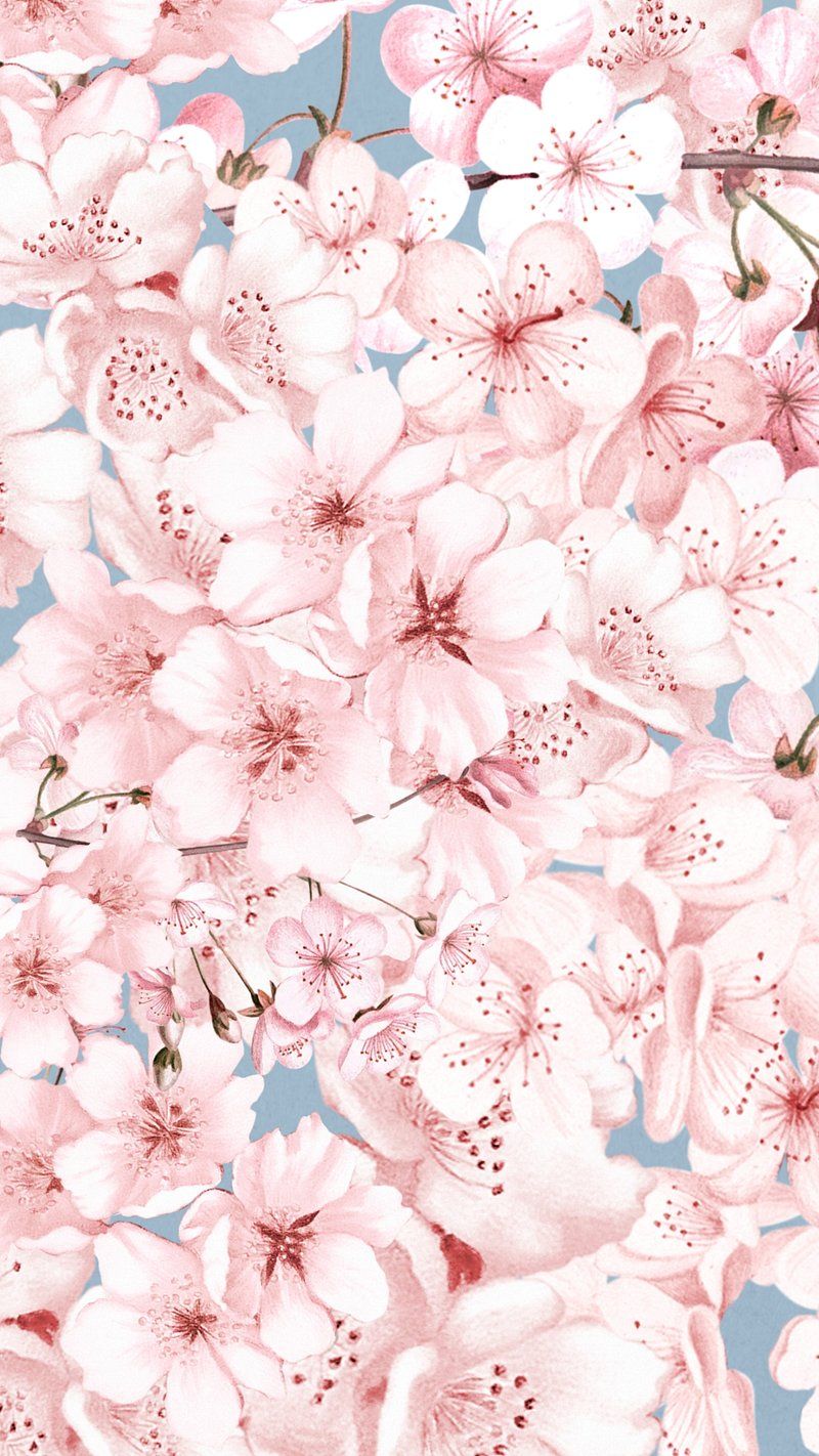 800x1422 Cherry Blossom Pattern Image Wallpaper